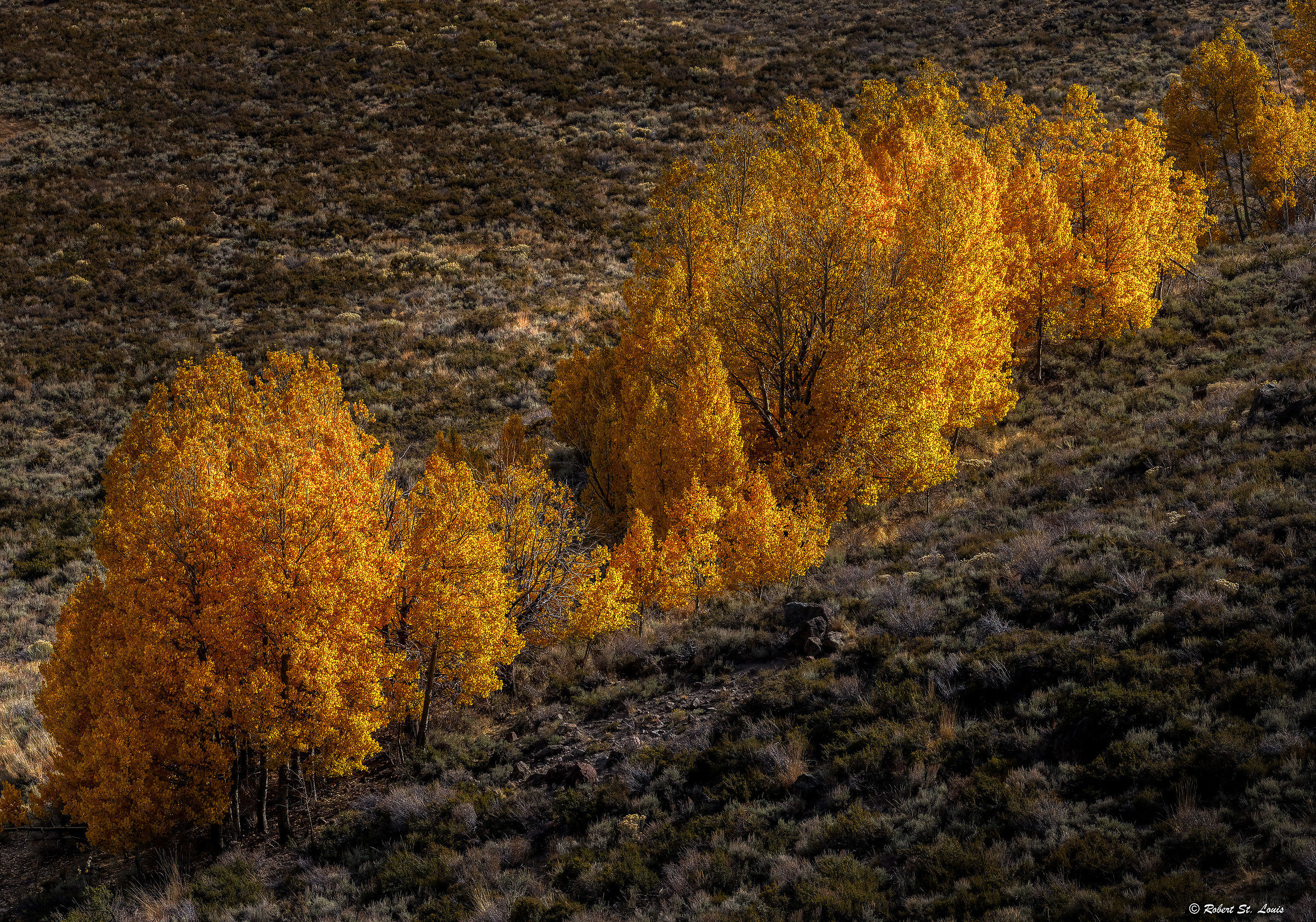 Descent from Bodie