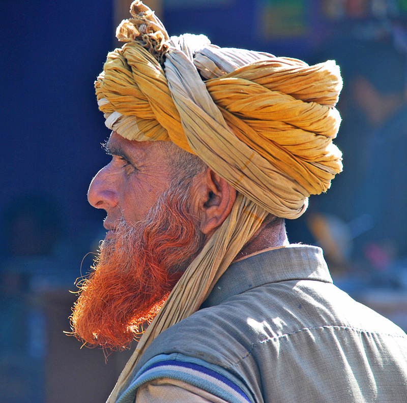 Pastore del Kashmir1