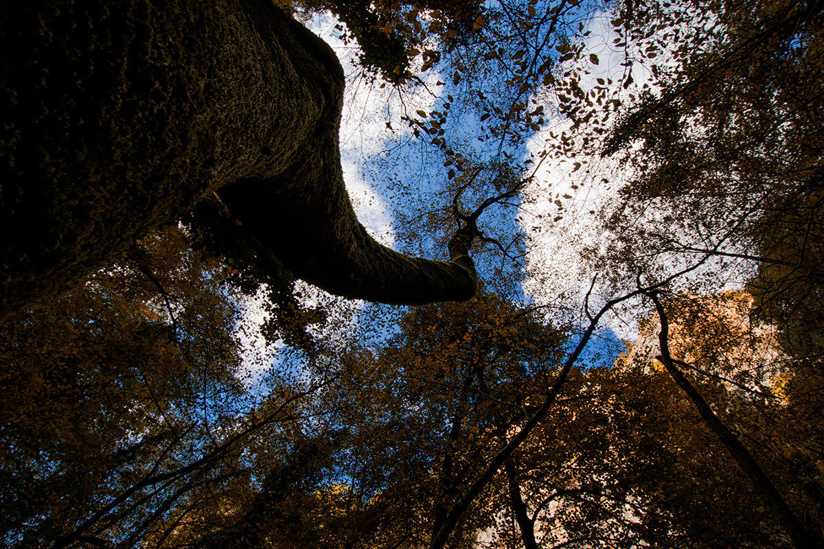 Majella National Park