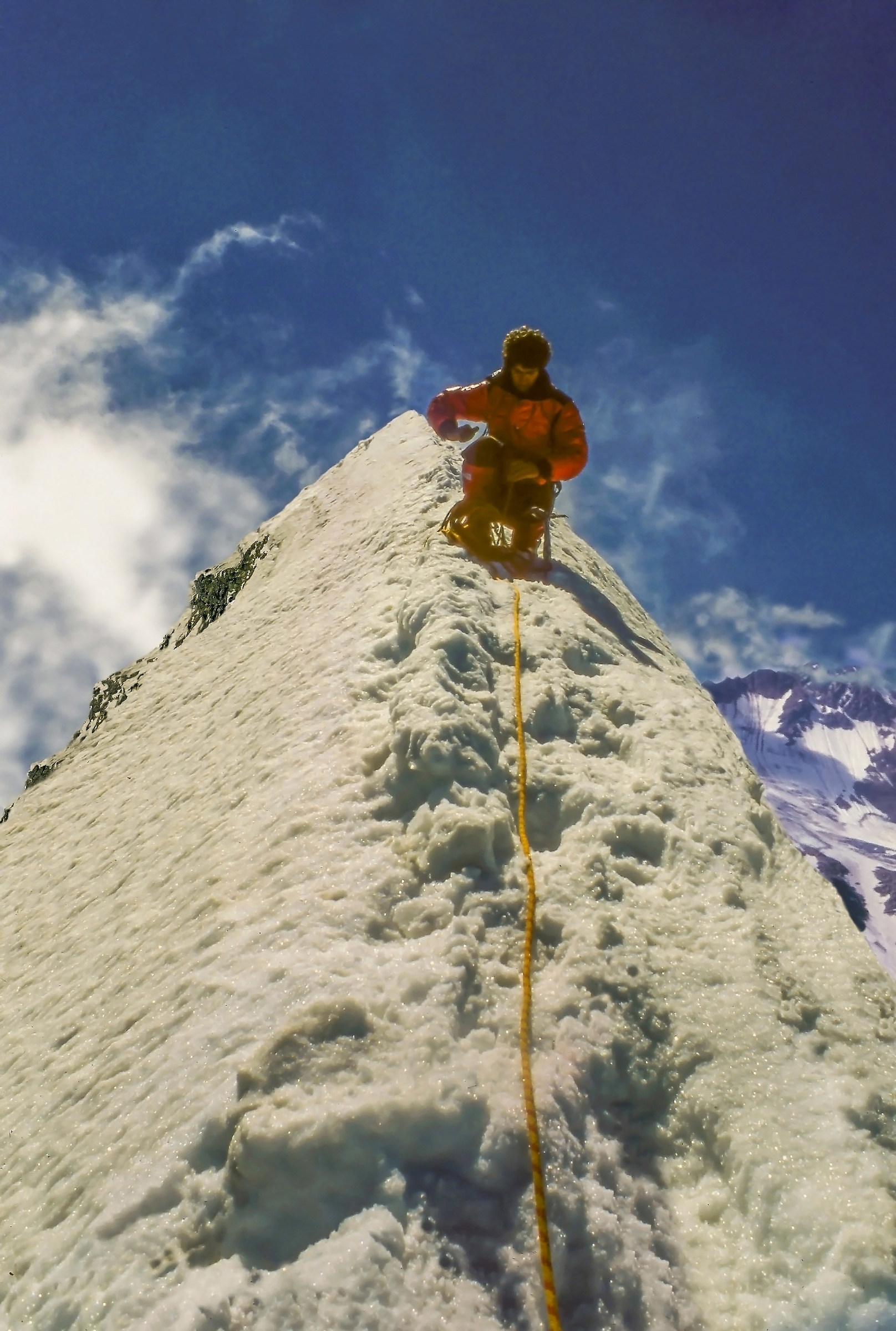 Amarcord 17 - Sulla pinna dello squalo