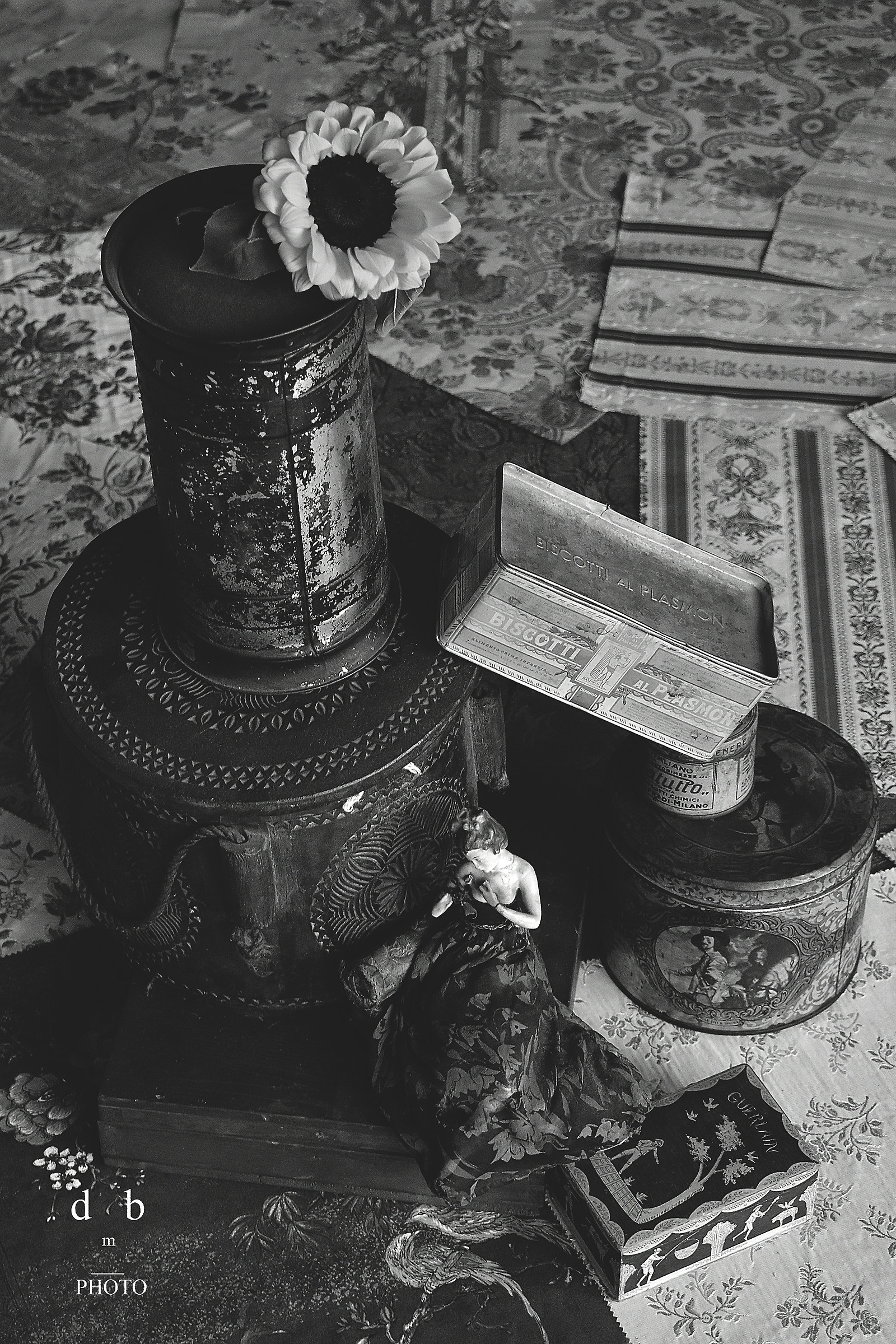 The Maiden and the castle