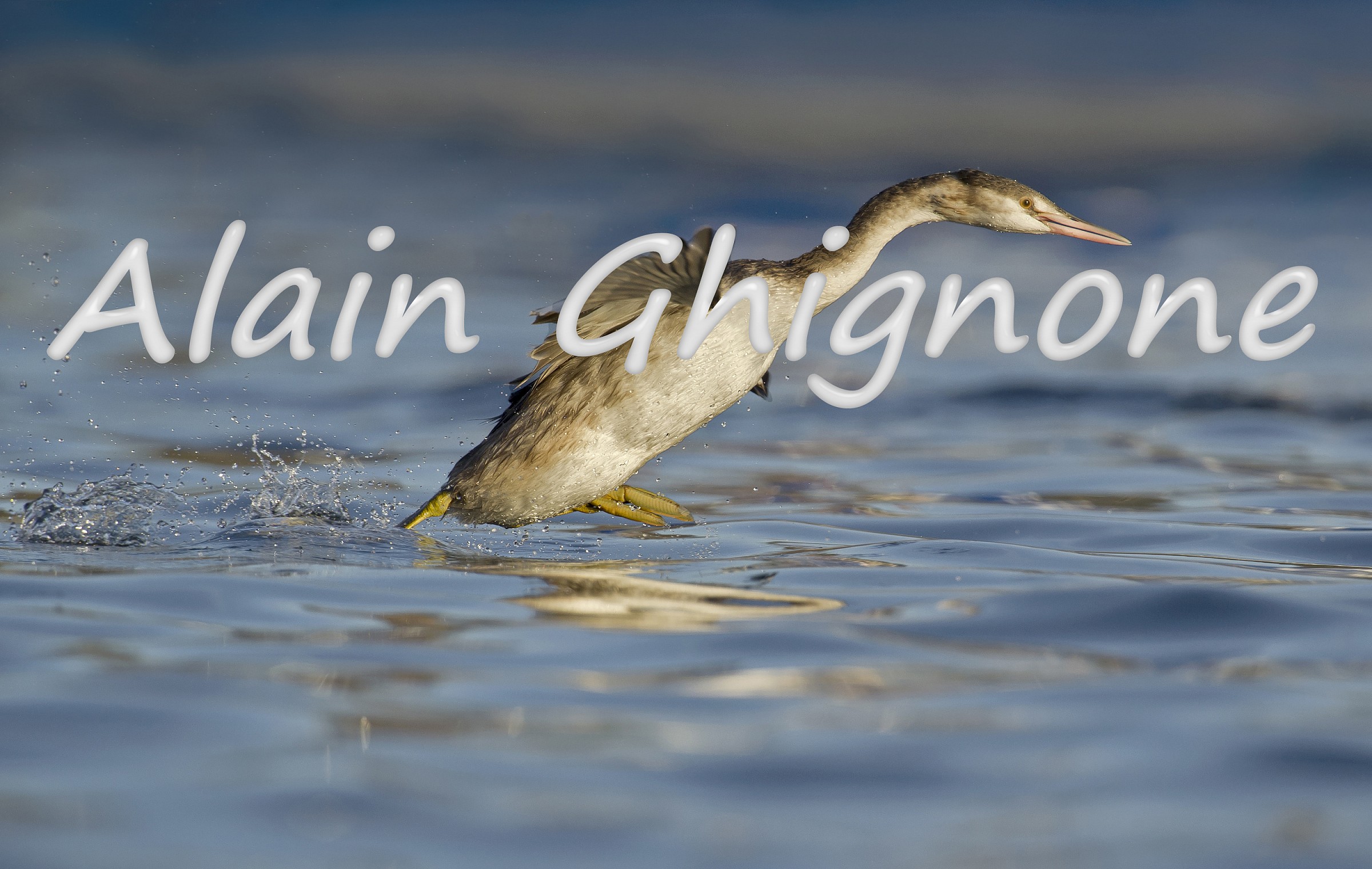 VIAAAAaaaaaaaaaaaaaaaaaaaa