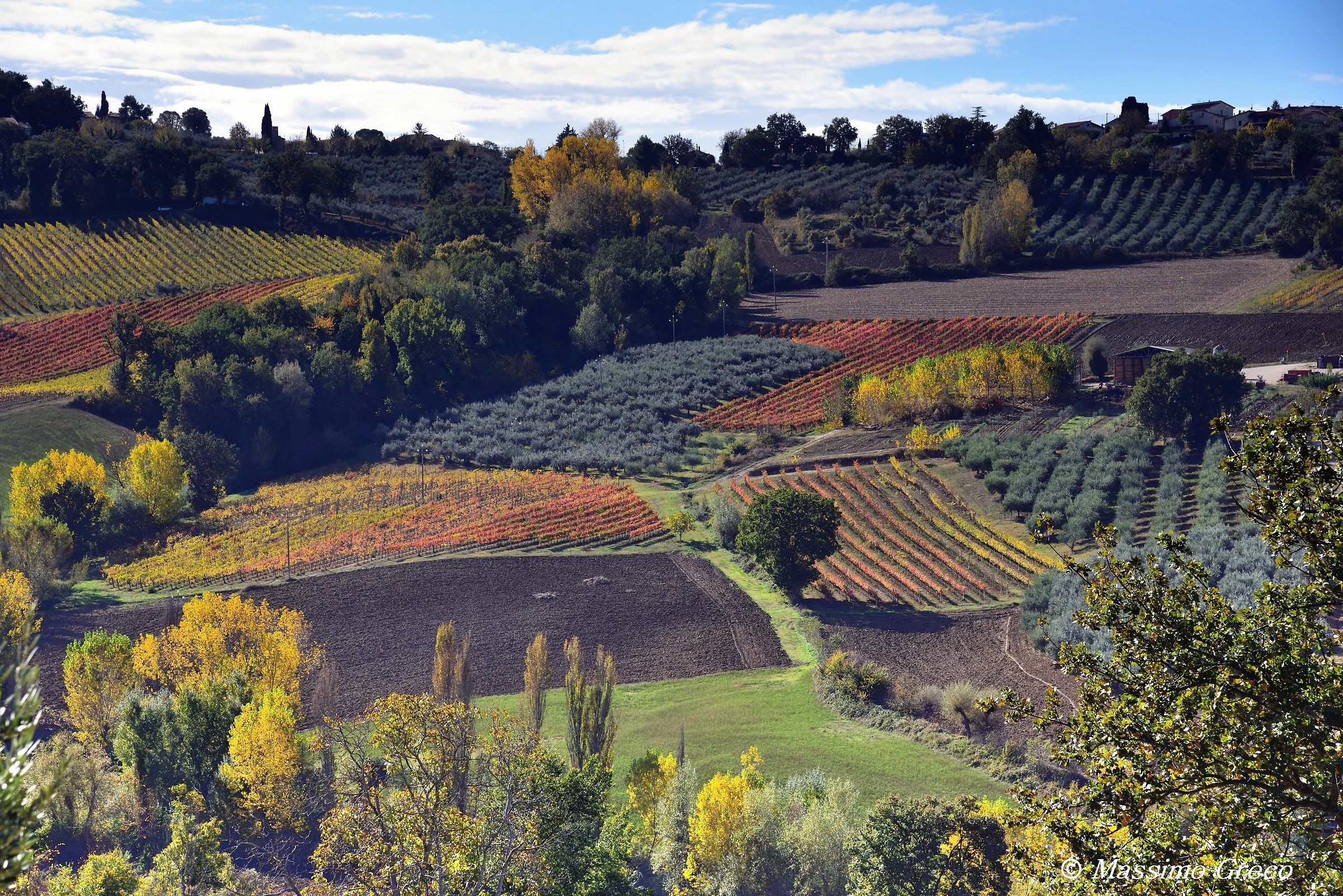 The hills of wine-Montefalco