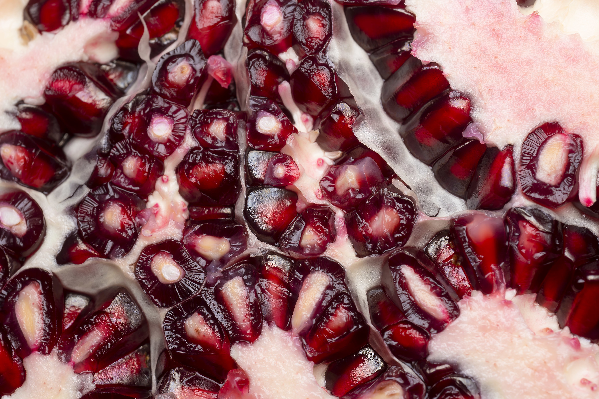 Sezione di melagrana 2