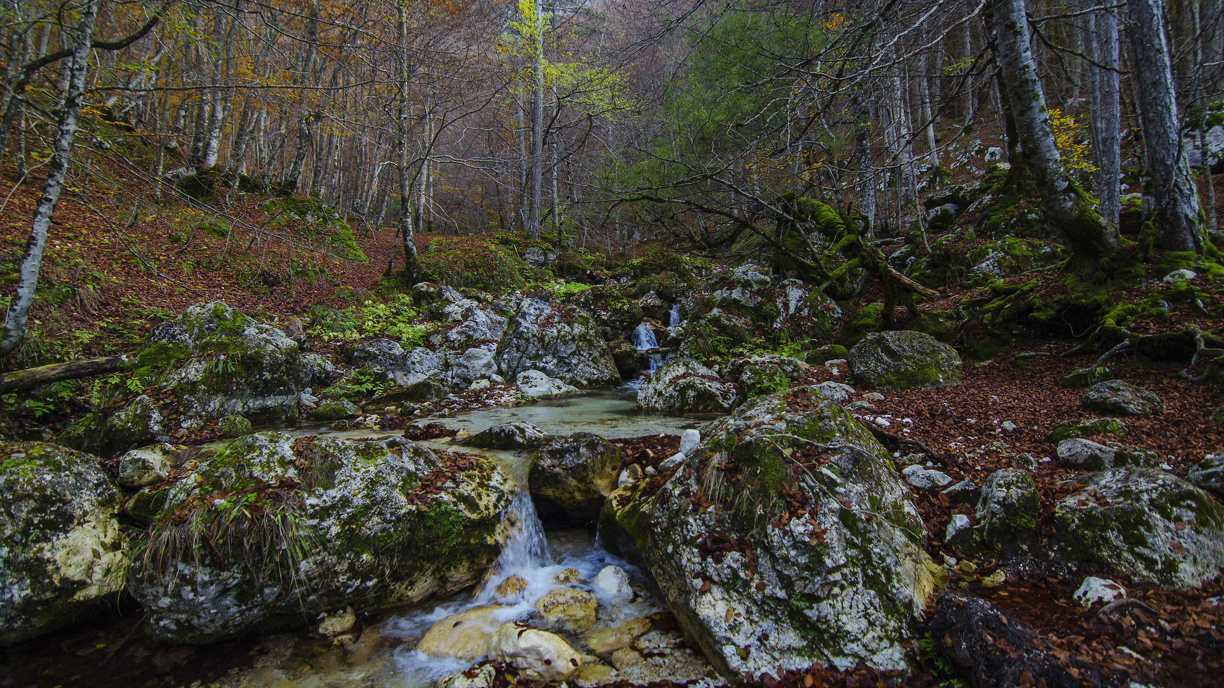 Il torrente Scerto visto da "dentro" (l'acqua)