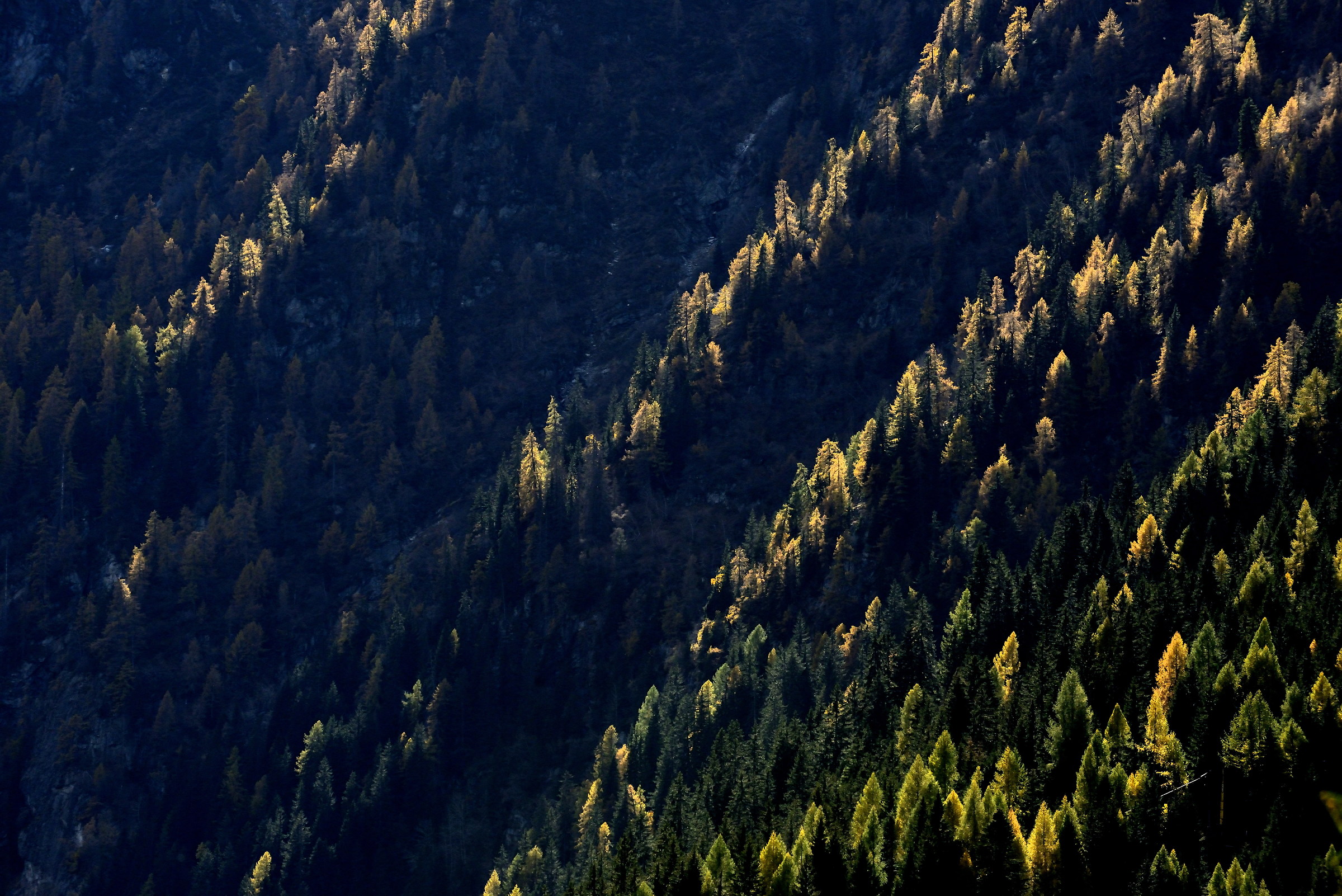 Yellow/green diagonals:)