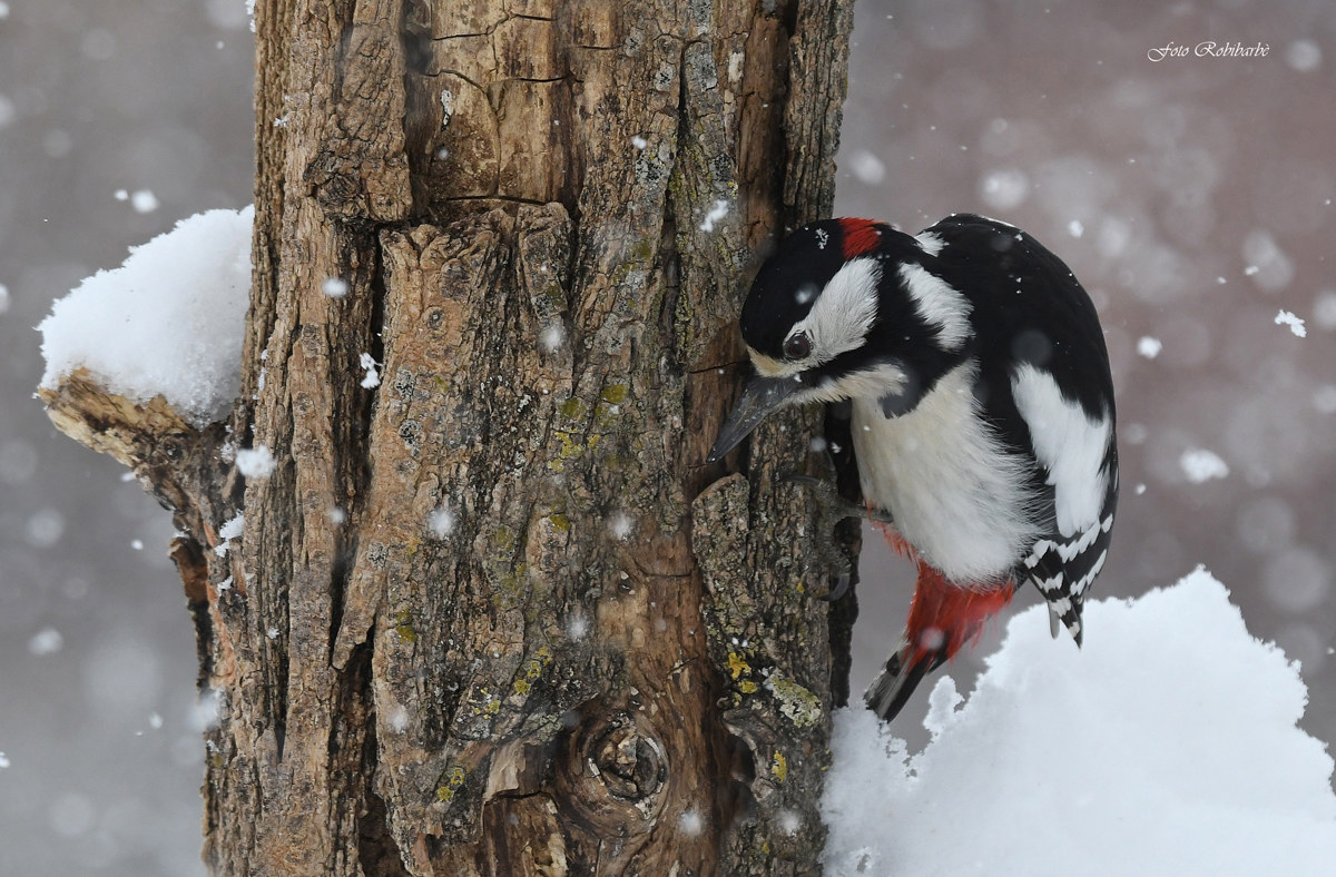 Condizioni estreme...