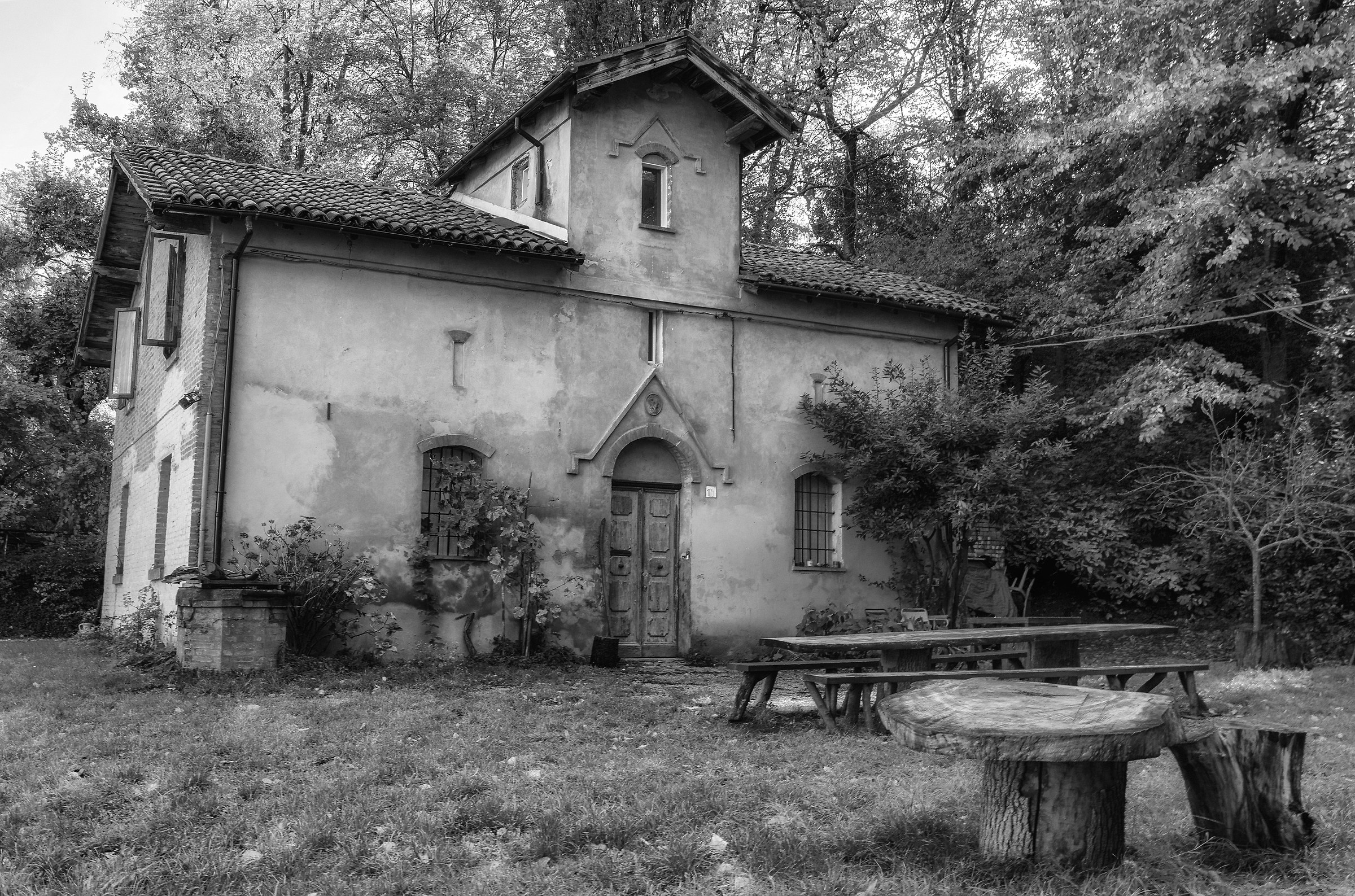 The House in the woods