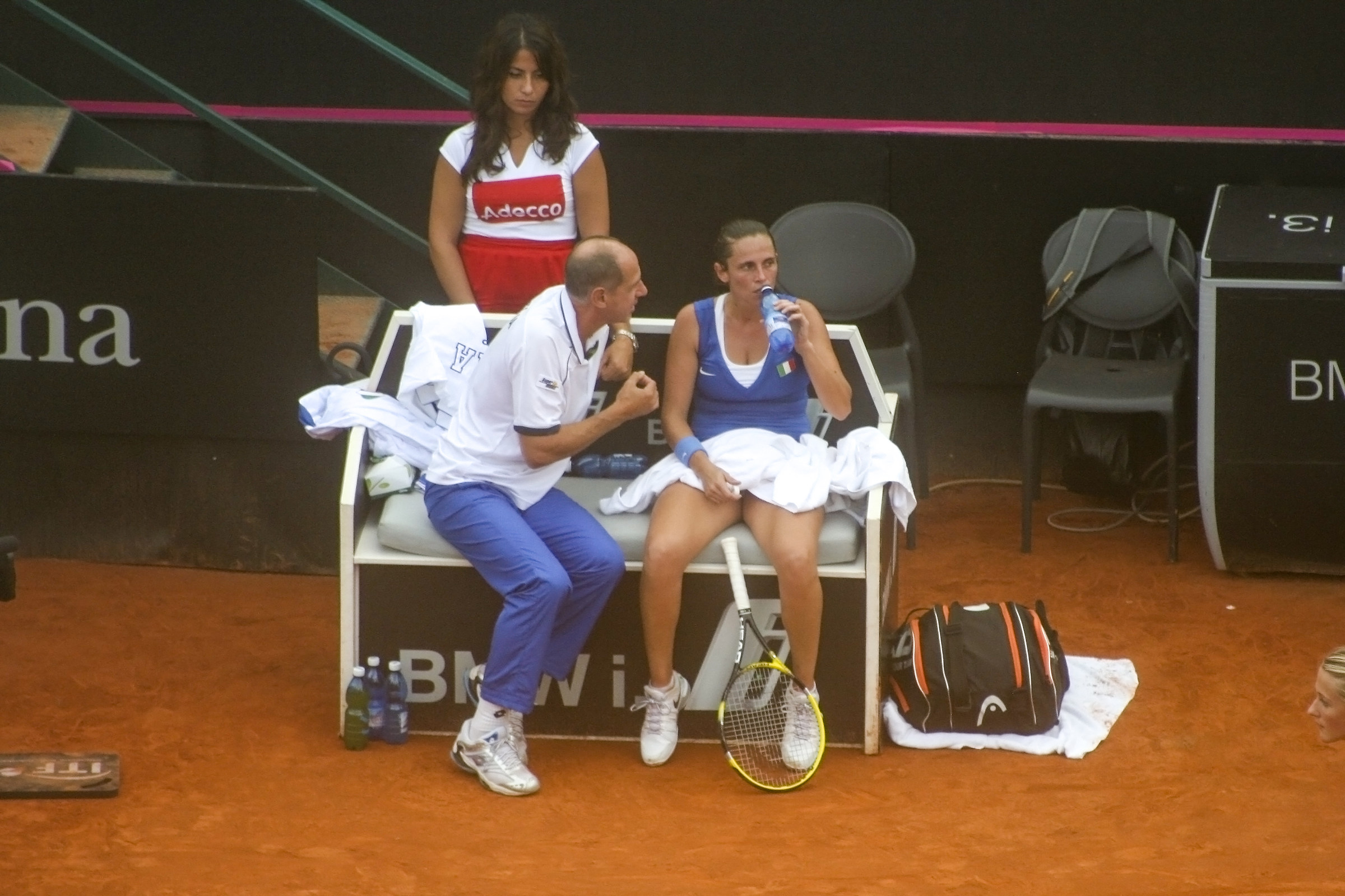 Fed Cup finale 2013