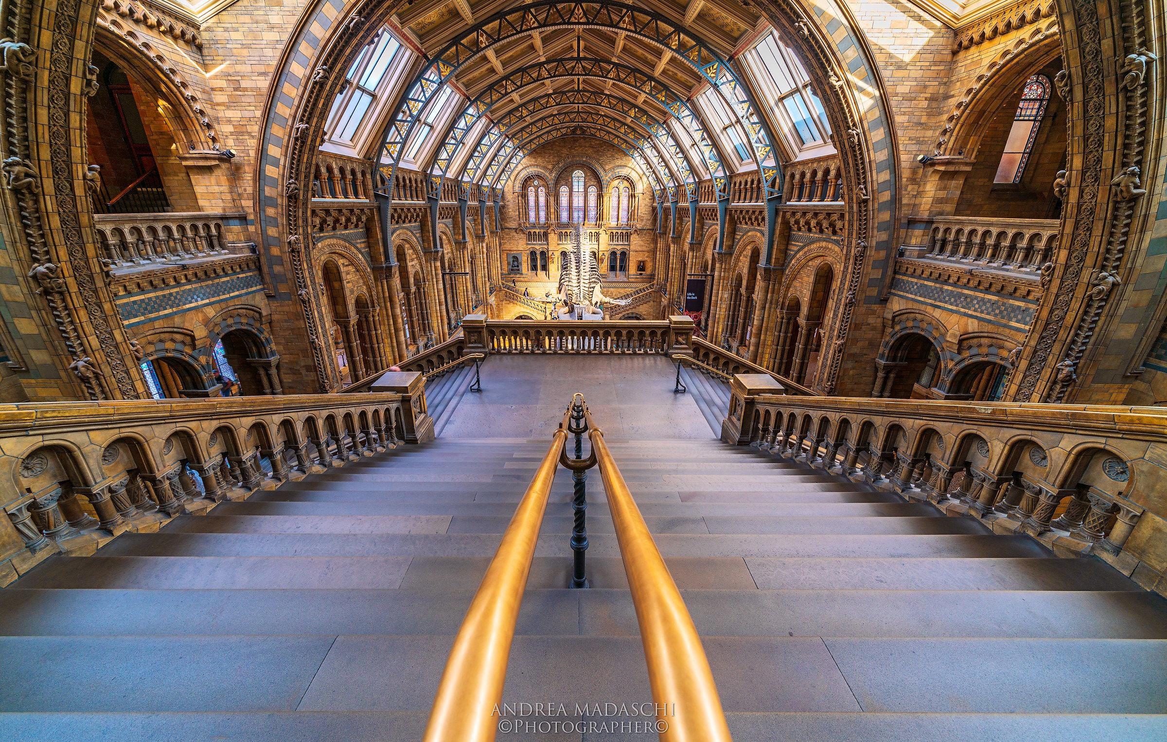 Natural History Museum of London