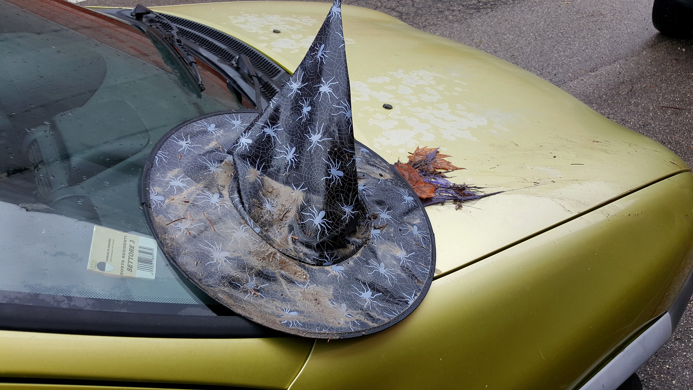 Halloween: The next day