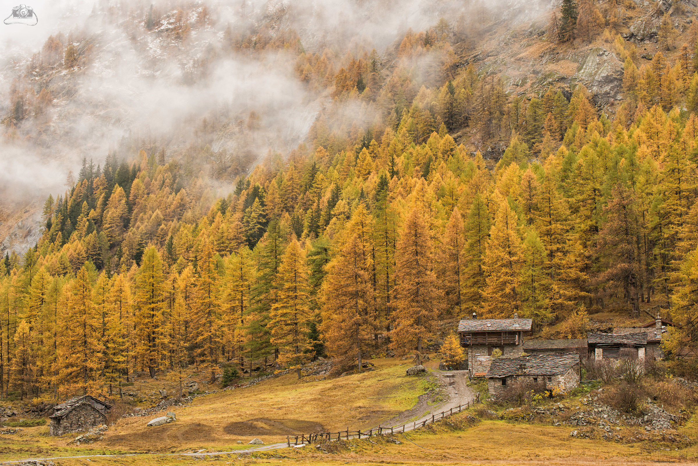 Foliage in Valnontey (ao)
