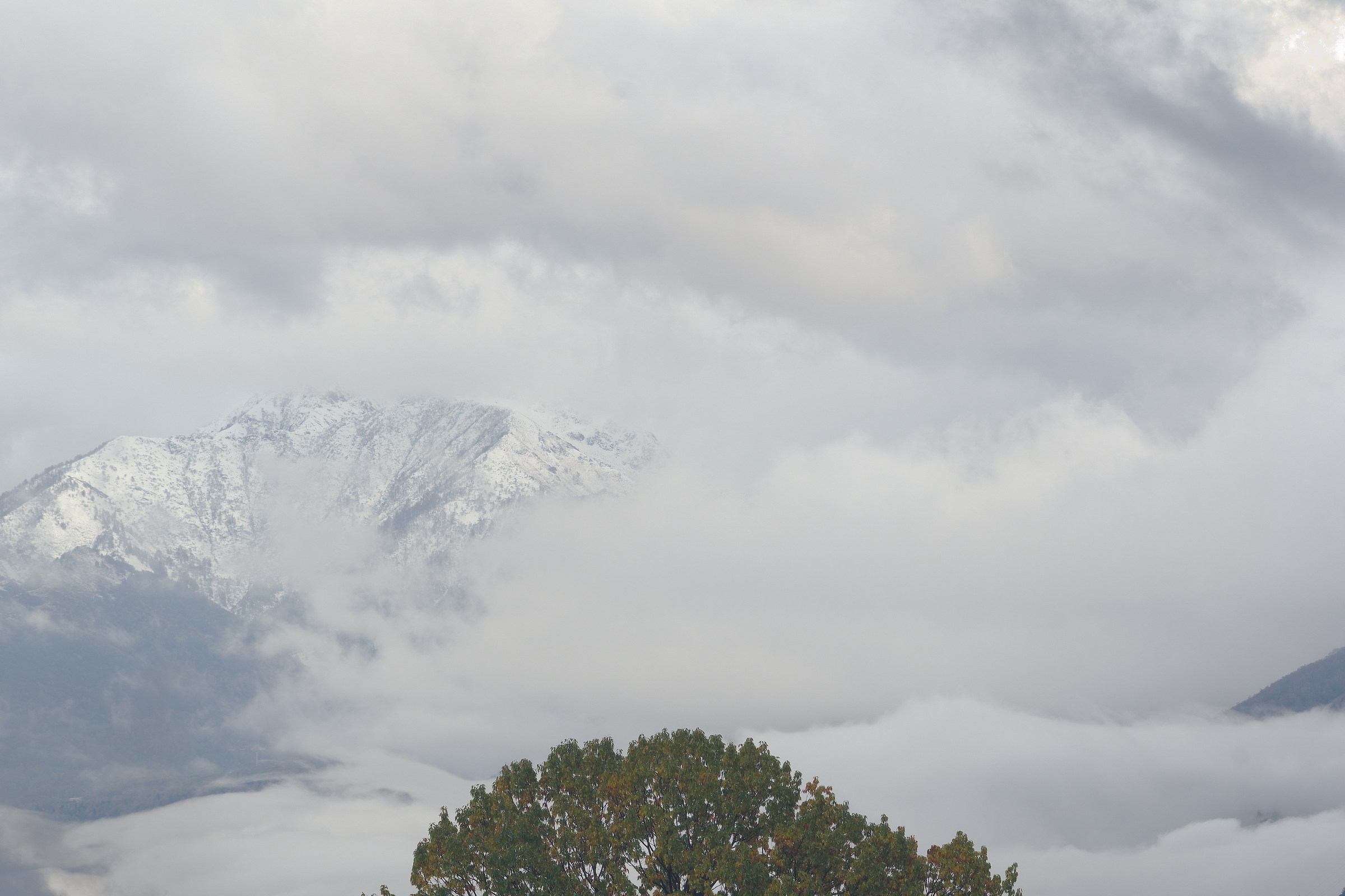 Tra l' Autunno e l' Inverno