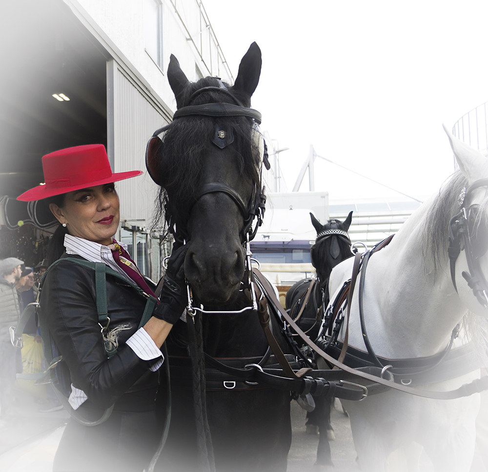 L'amore per il cavallo