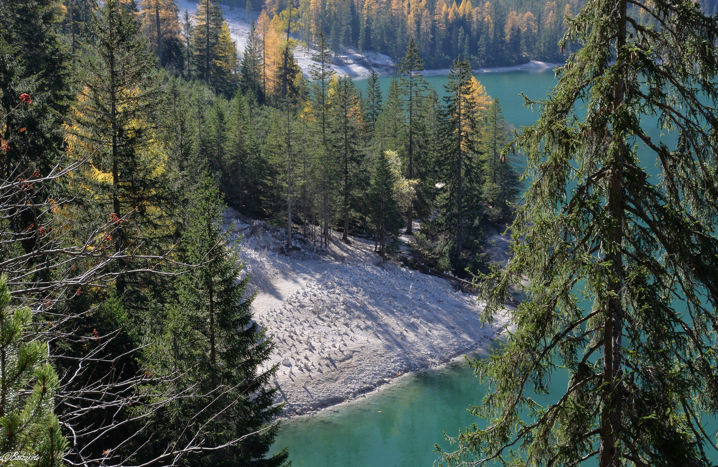 Lake Braies-Pragser Wildsee