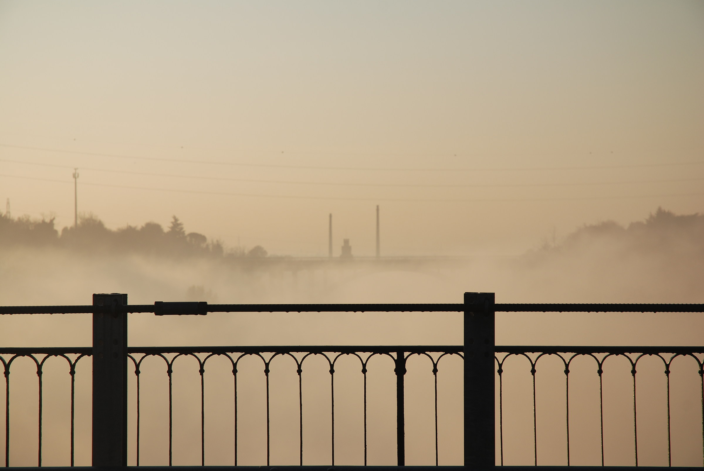 Nebbia all'alba