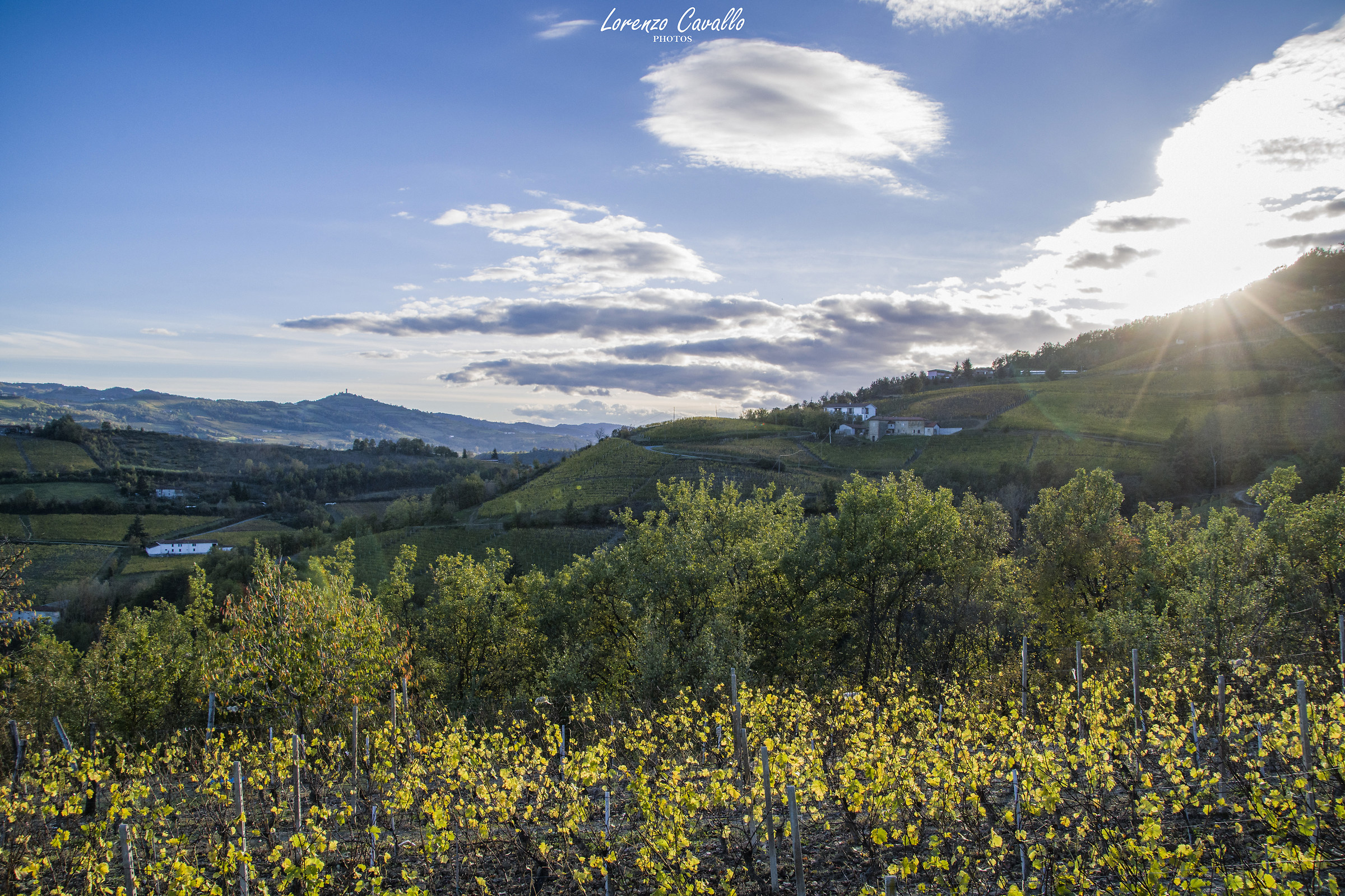 Tramonto nel moscato