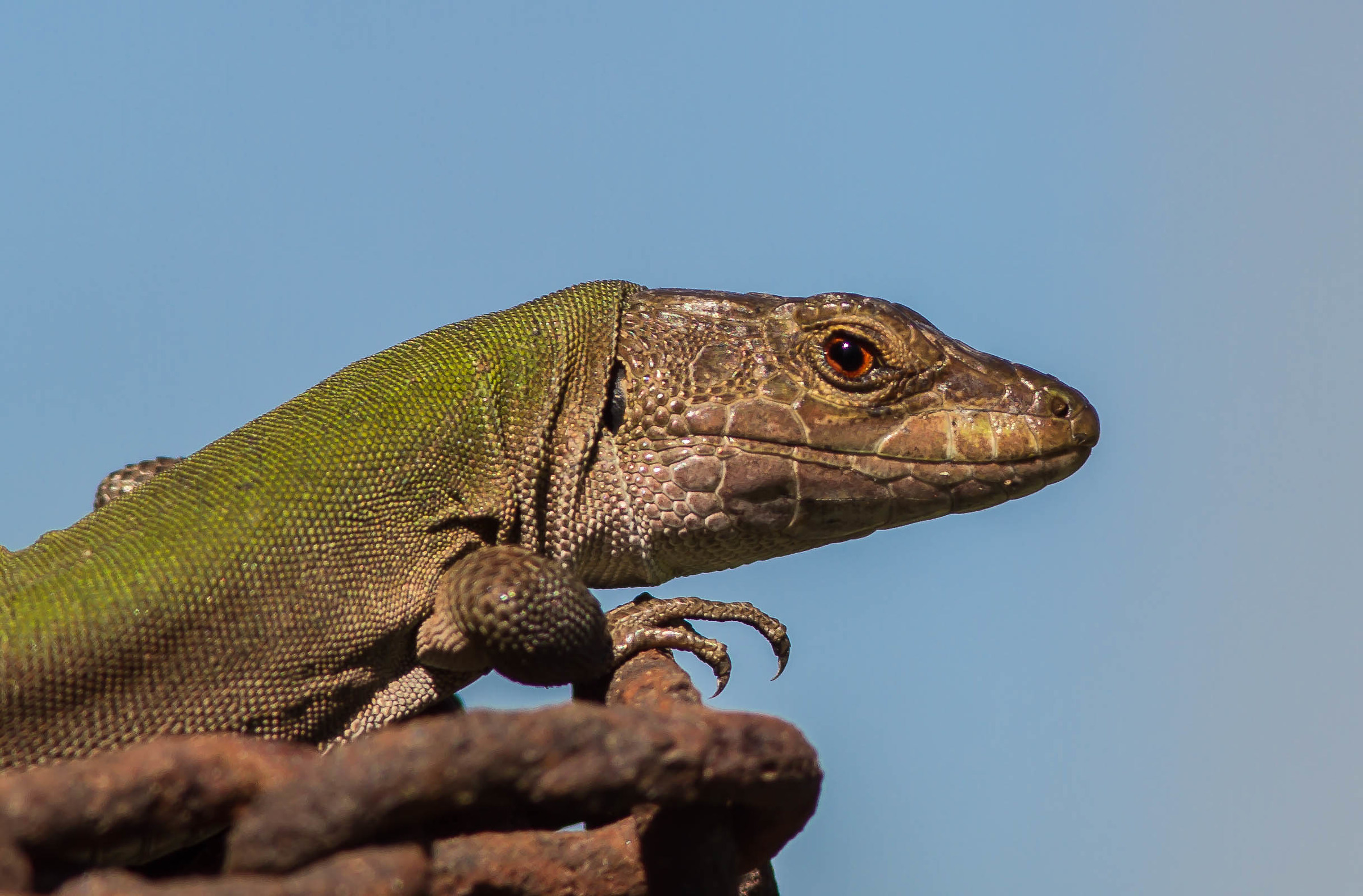 Godendosi l'ultimo sole d'autunno
