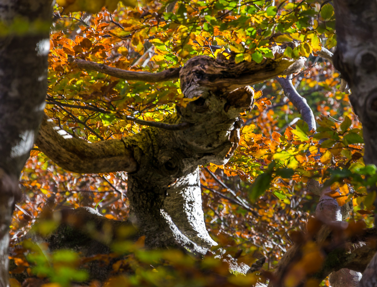 Do Not Disturb, please!