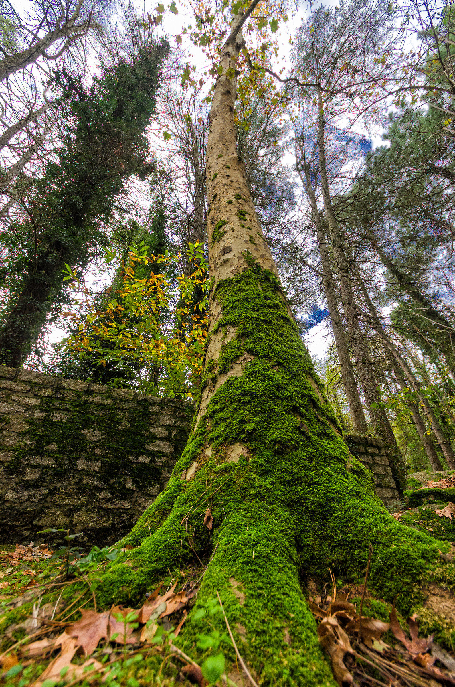 Mi piego ma non mi spezzo