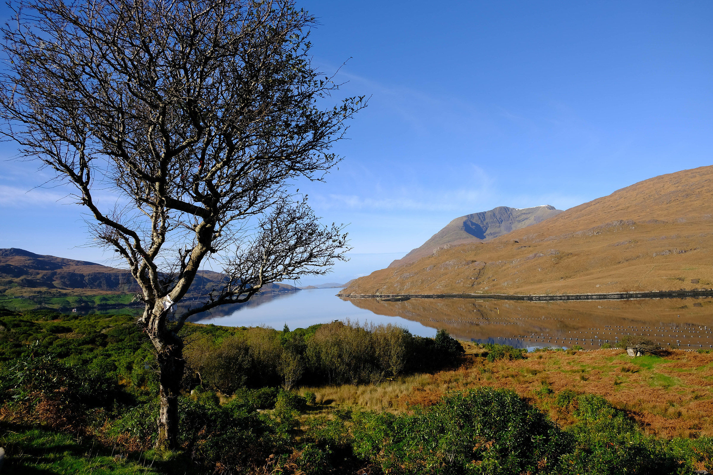 Killary Fjord, Connemara, Ireland