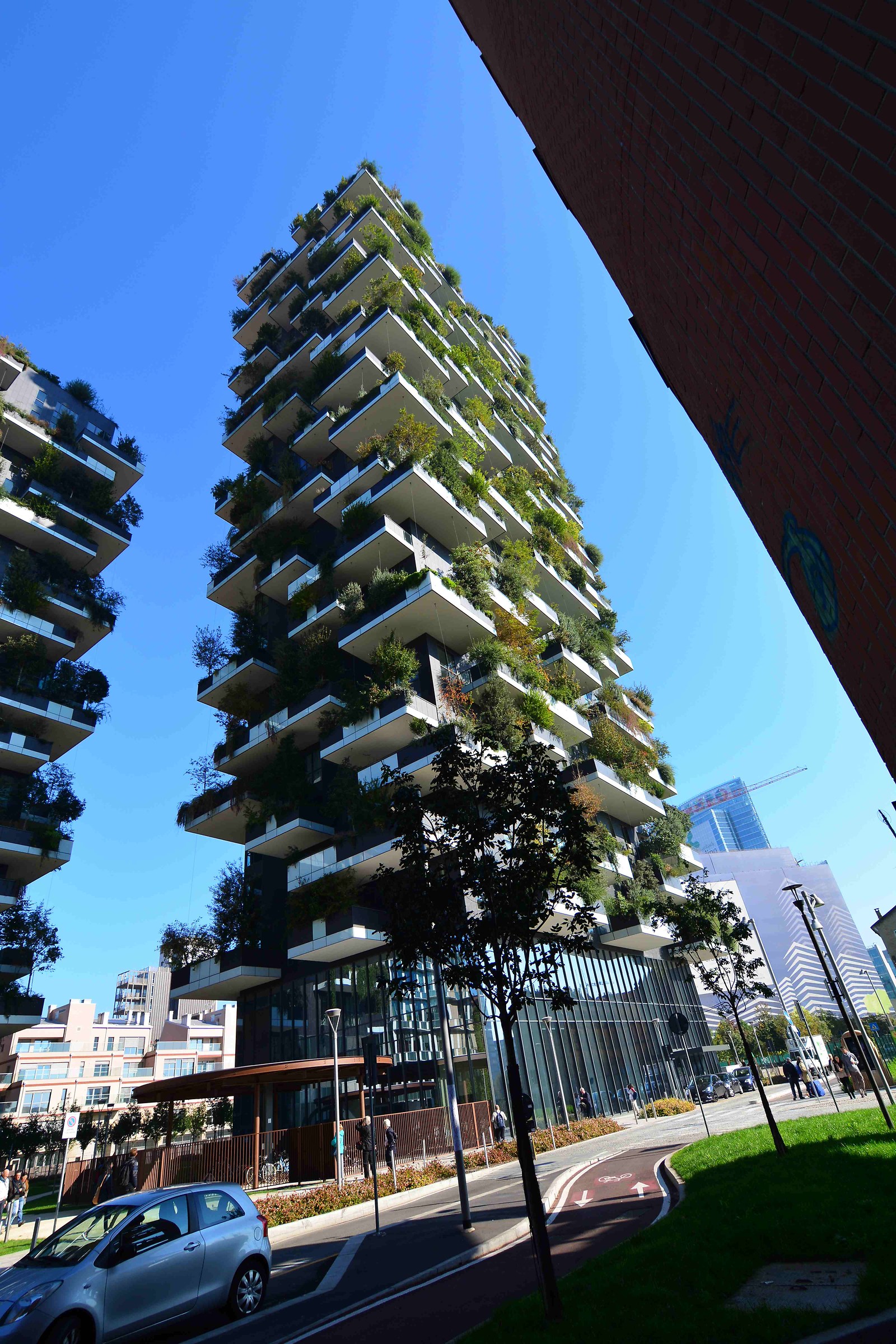 The grass of the neighbors