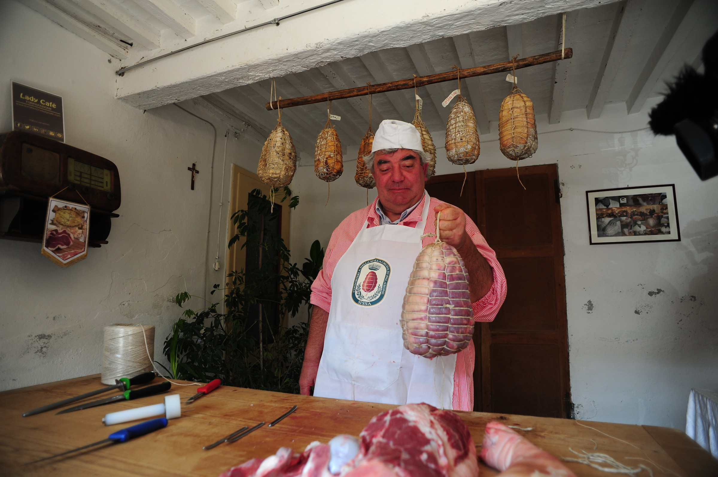 Tribute to November Porc-Bassa parmense