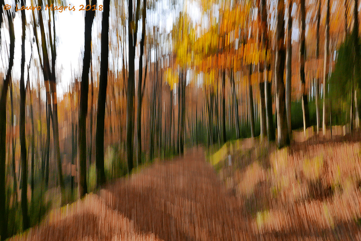 Impressioni autunnali