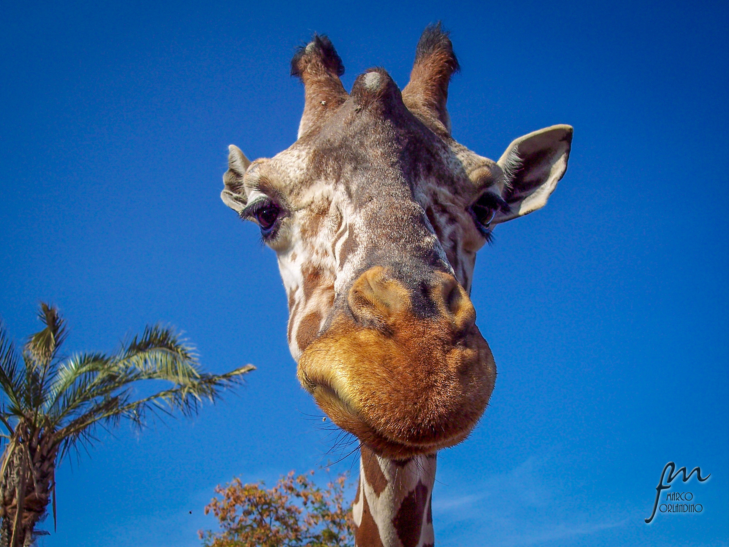 hai tanto da guardare!!