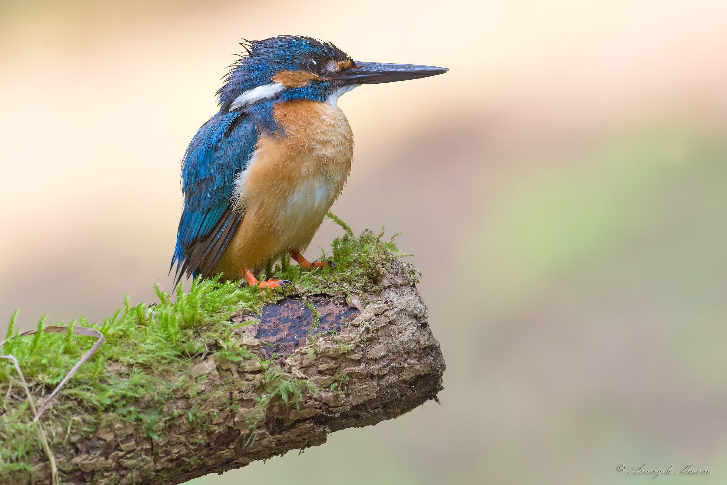 In attesa di pescare