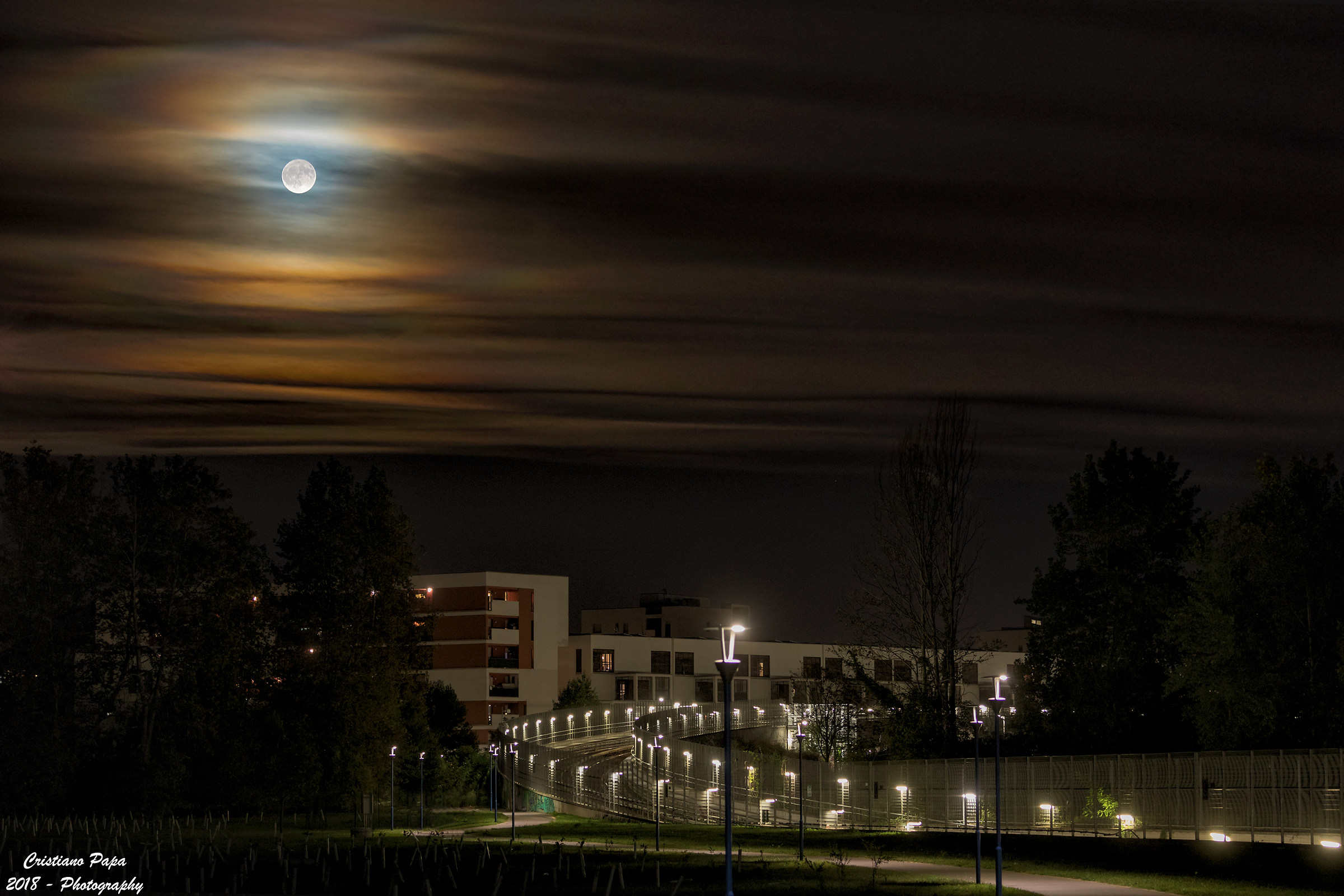 The Moon from the window...
