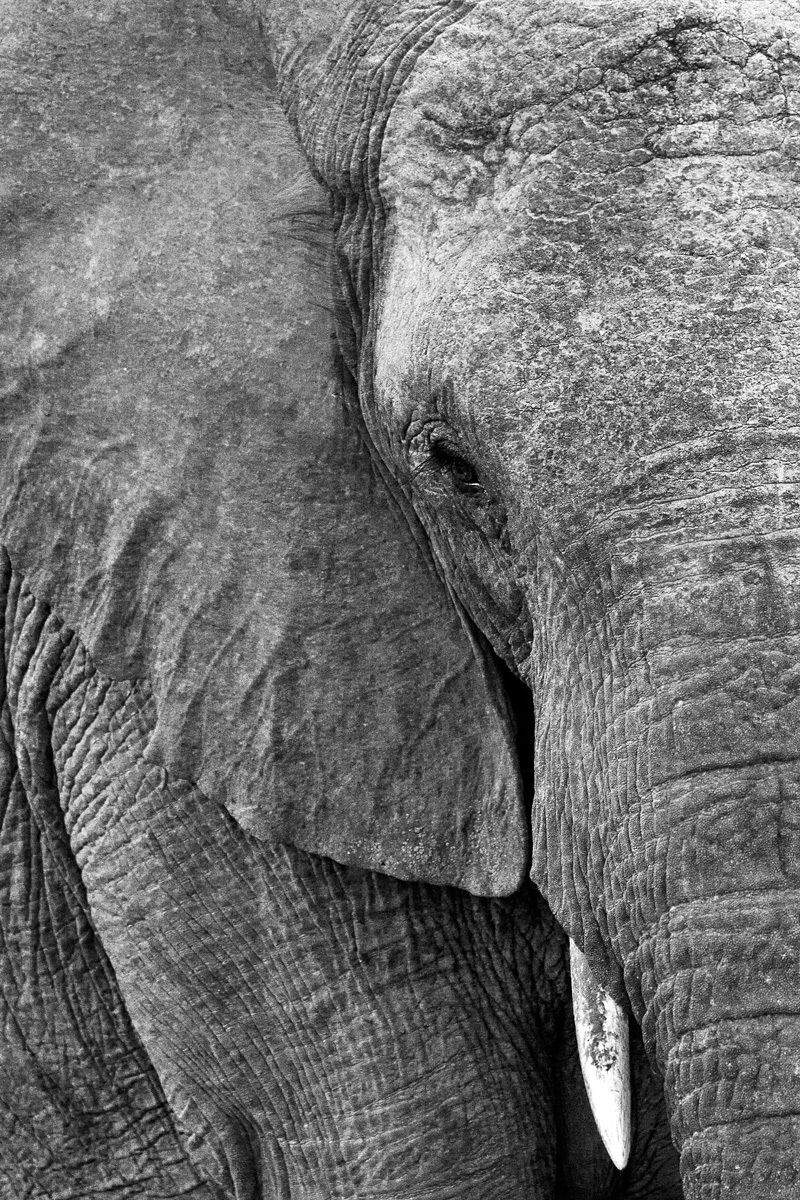 Ritratti dal Sud Africa #1