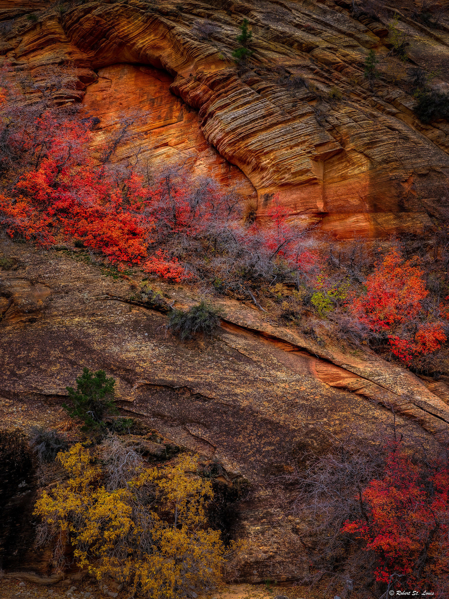 Zion National Park