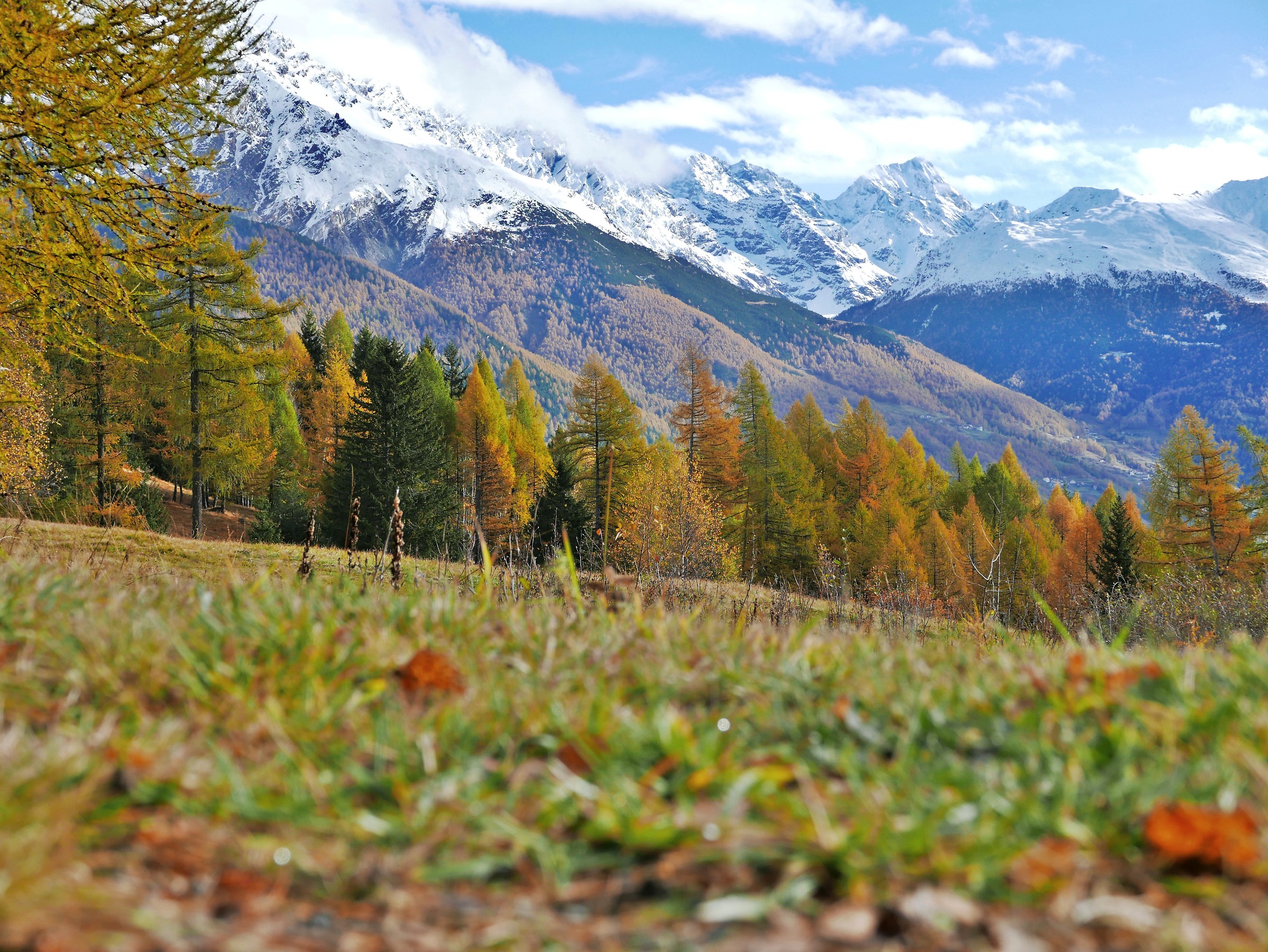 Gran Zebrù Prima neve Forte Oga