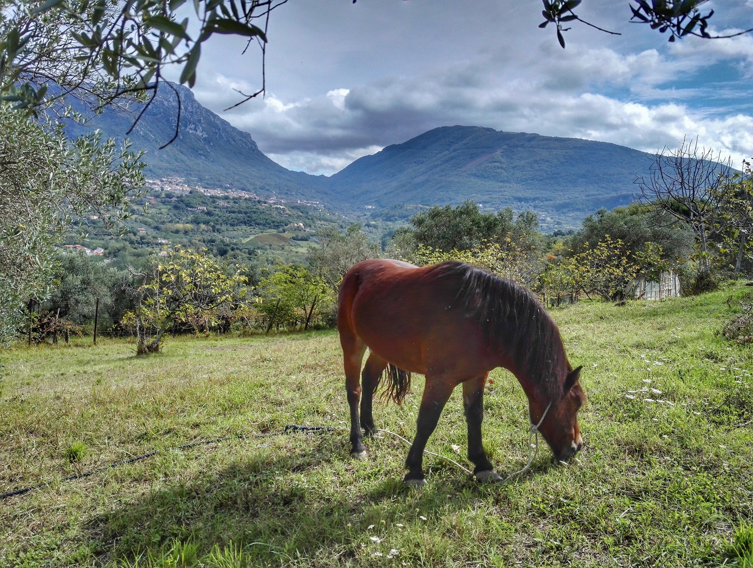 Melizzano, routine mattiniera