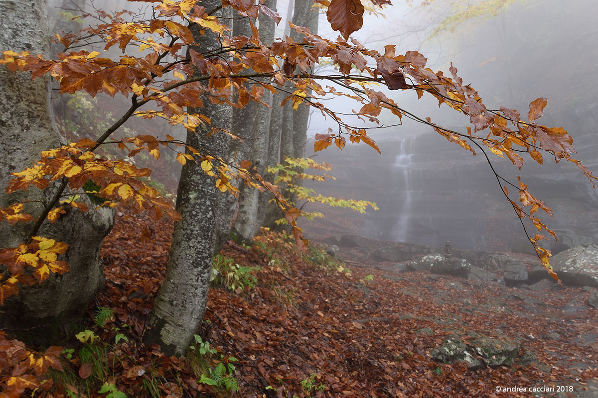 Lavacchiello Waterfall #3