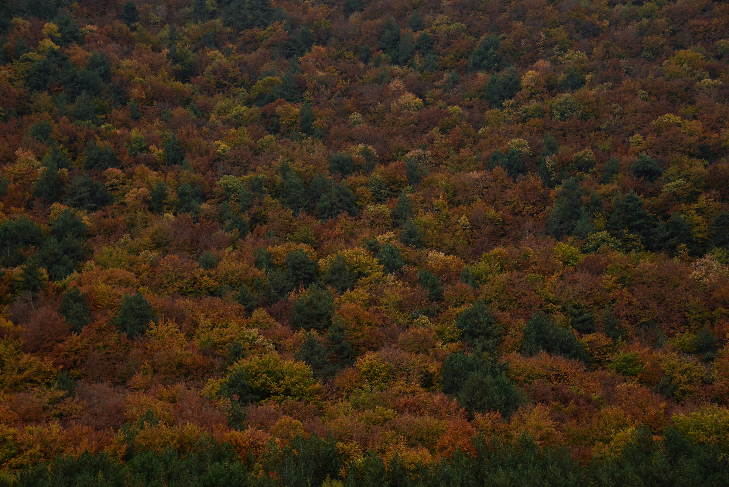 l'autunno a Villetta barrea