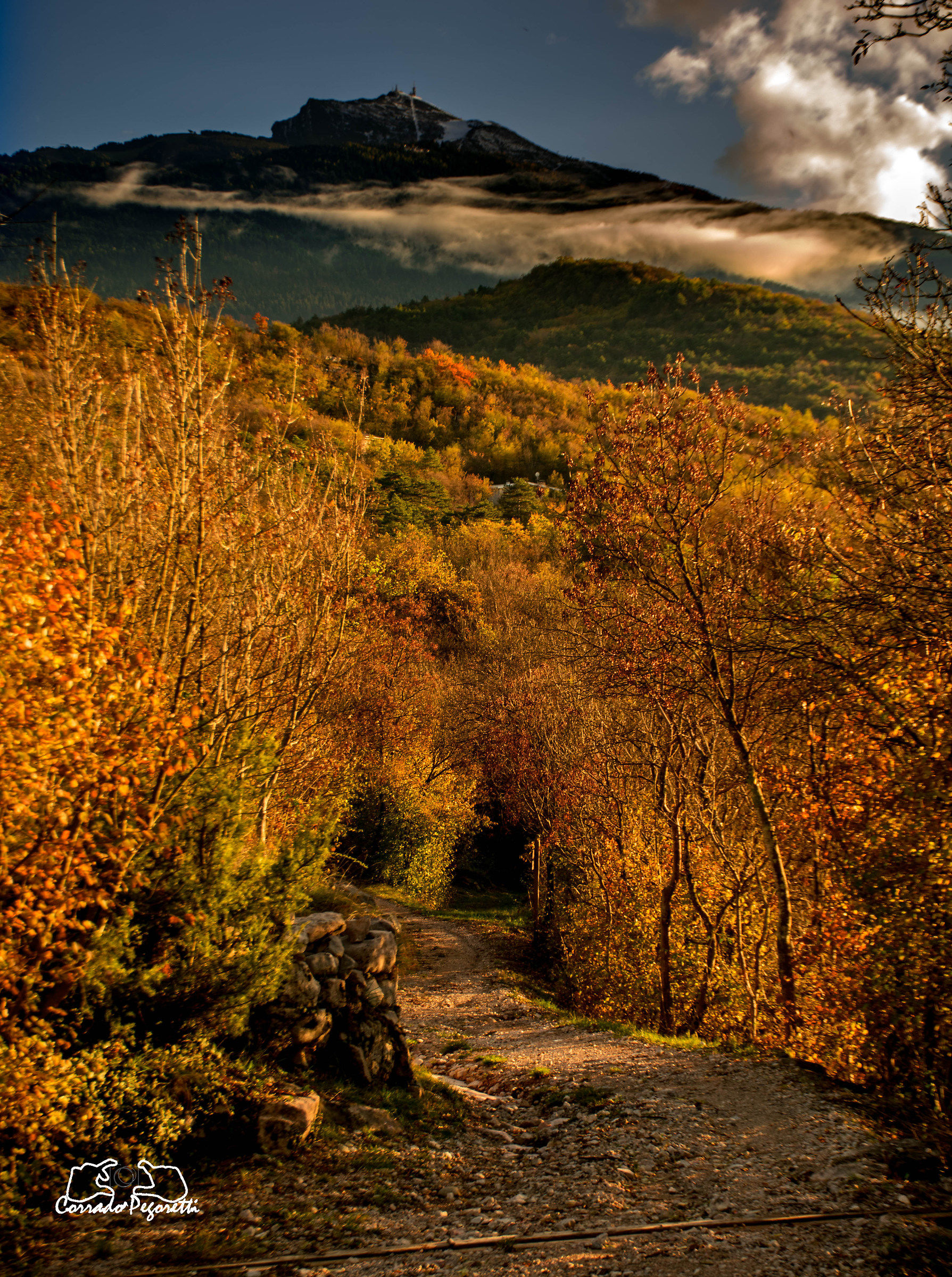 Foliage Lago di Terlago con vista Bondone innevato