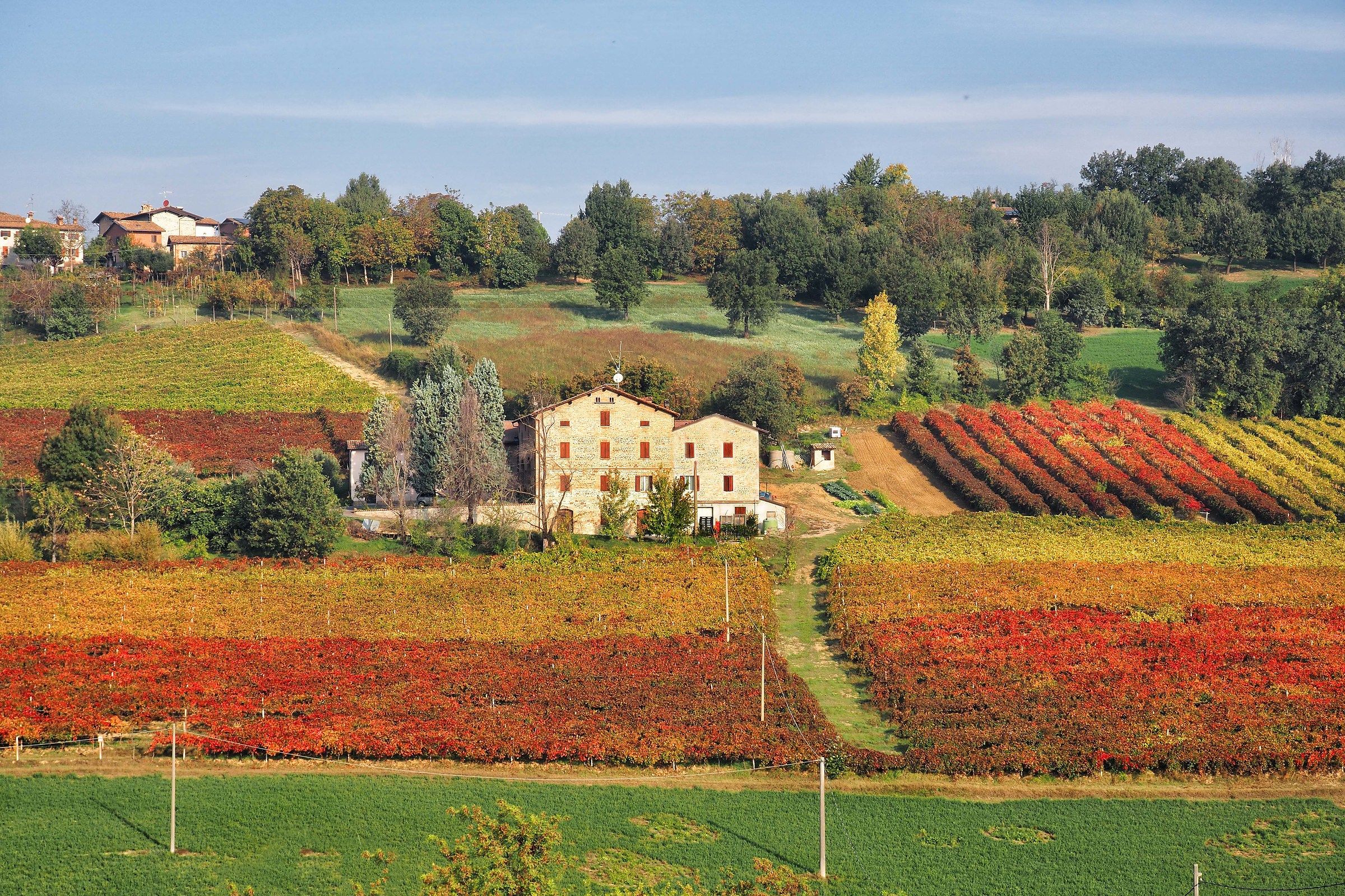 Il casolare in mezzo ai vigneti