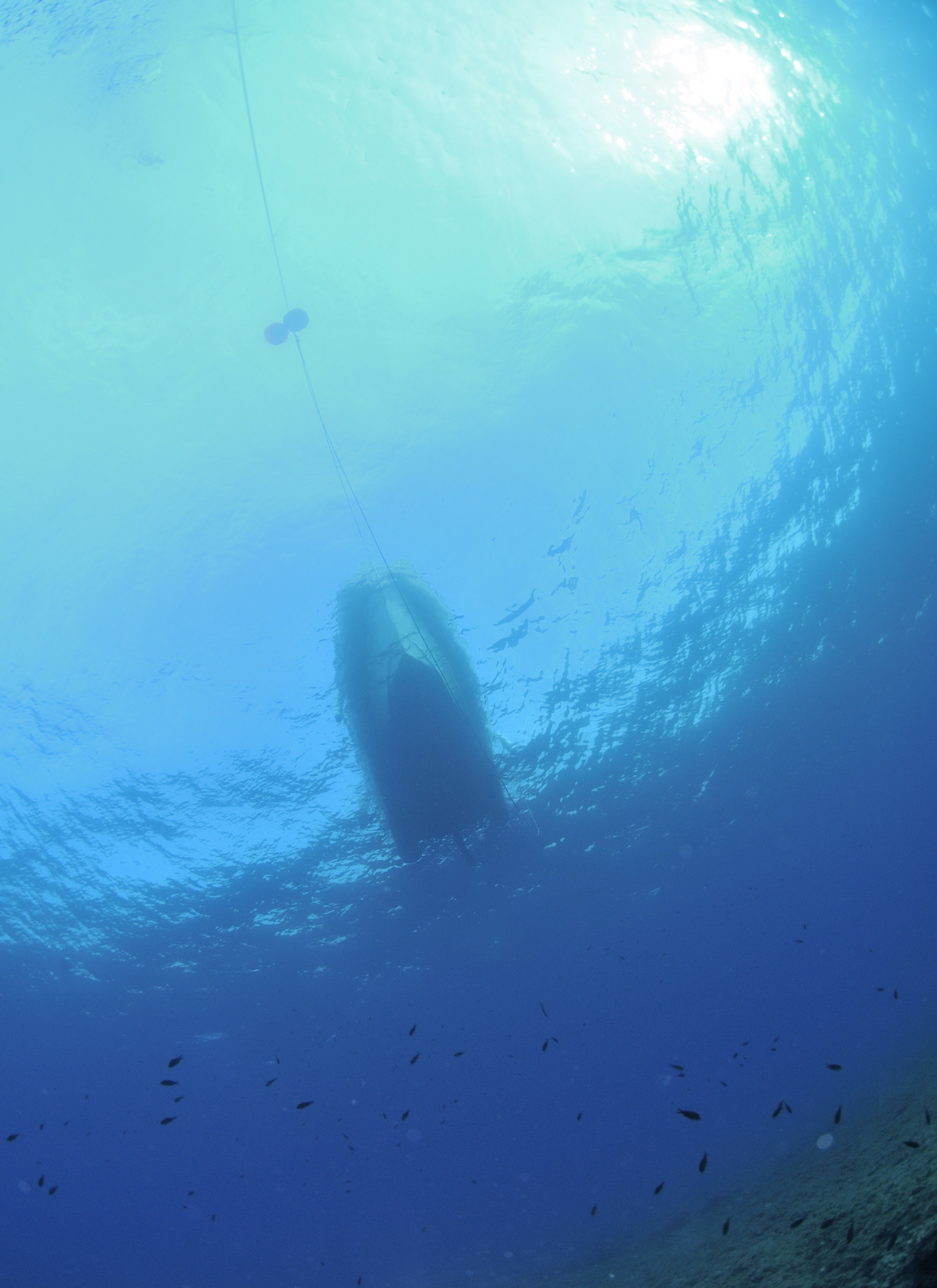 fantastica visibilità