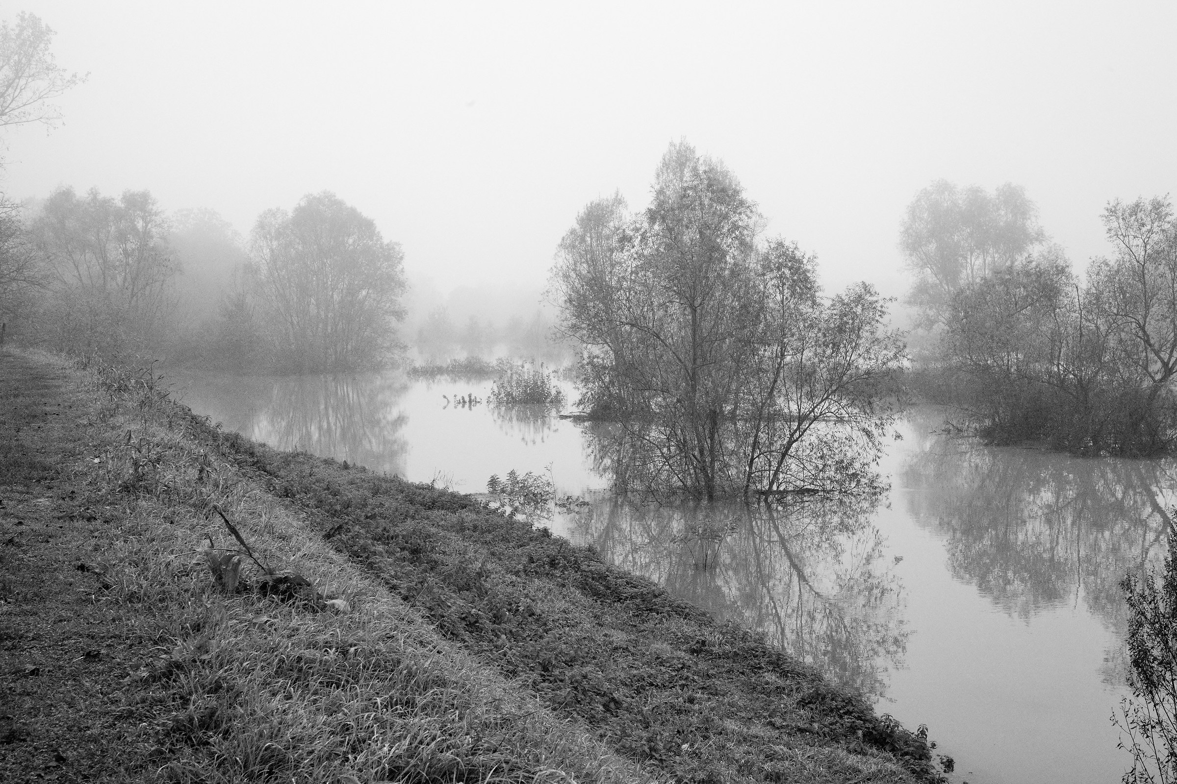 Il grande fiume Po in piena e il vecchio pescatore