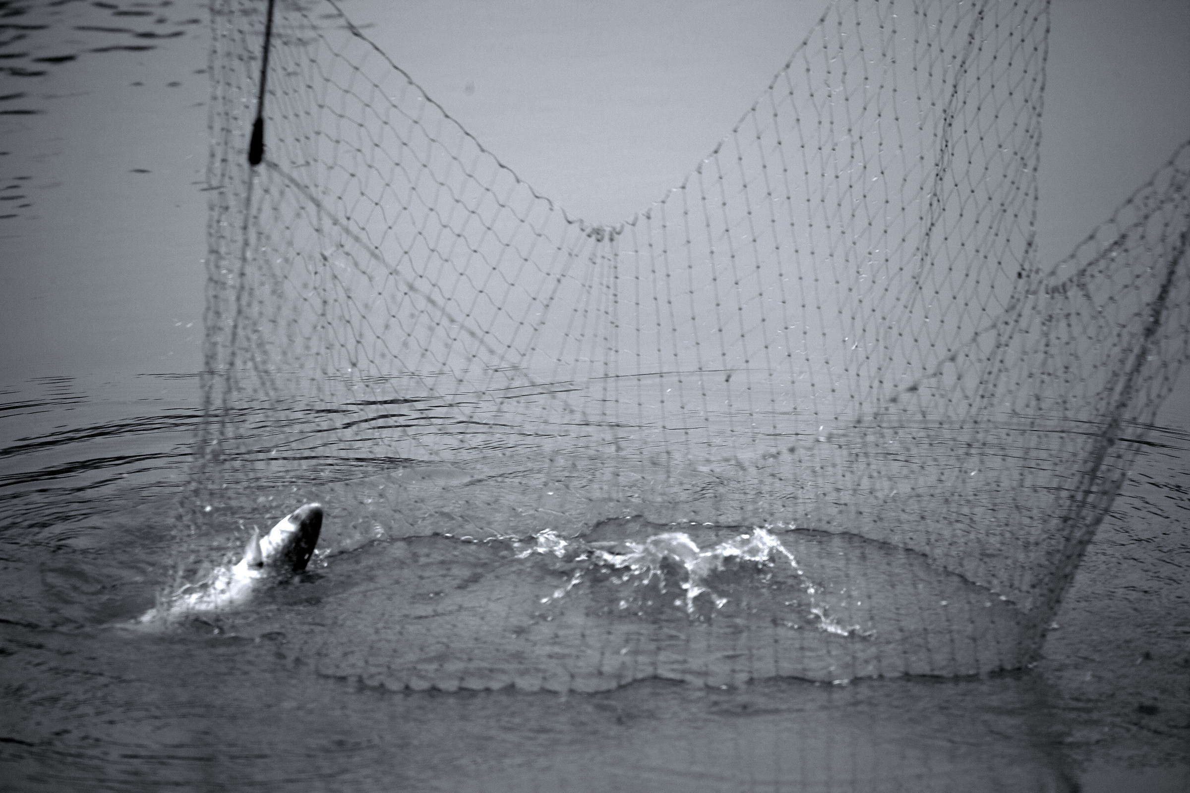 The Great River Po in full and the old fisherman