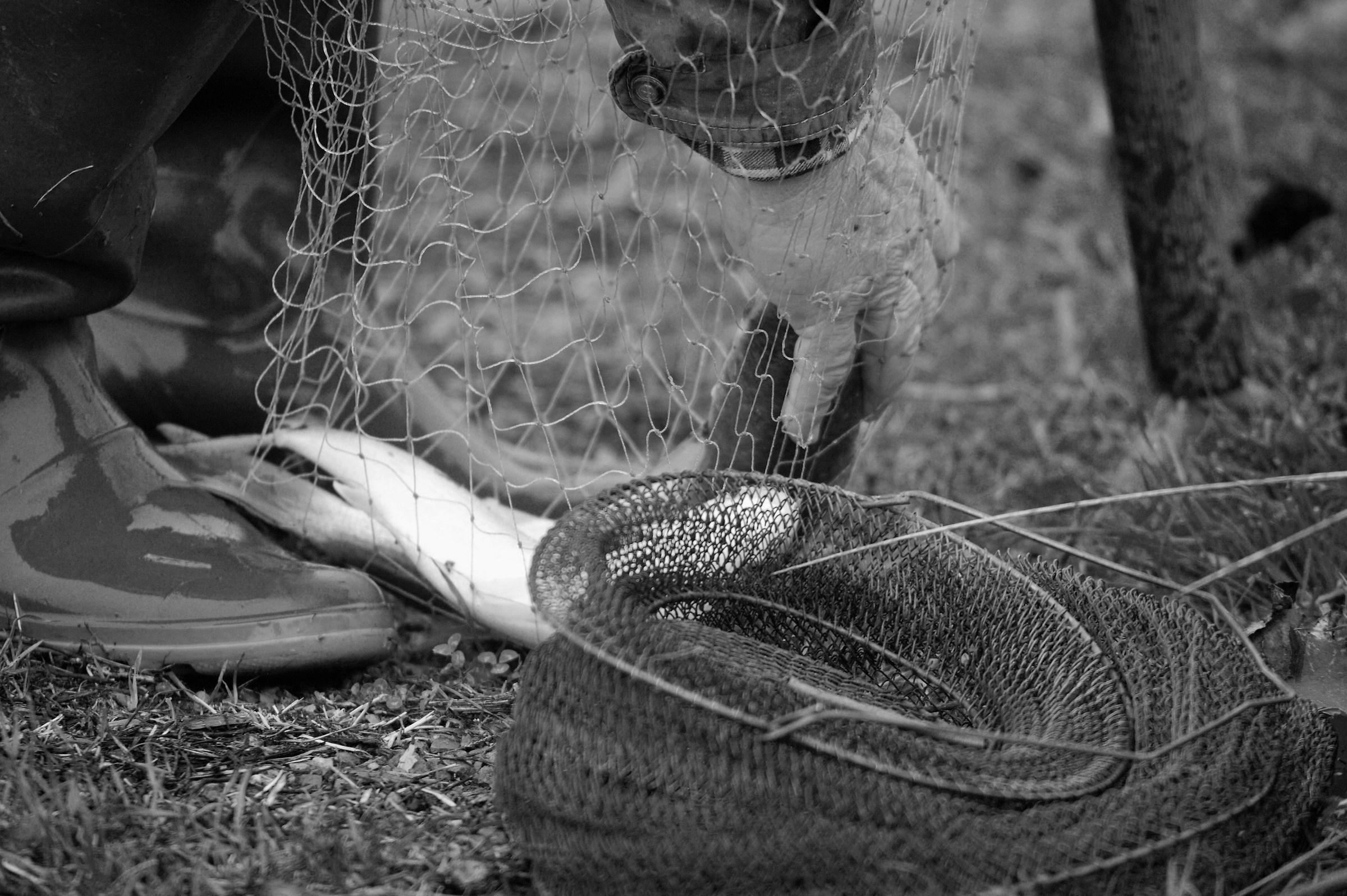 The Great River Po in full and the old fisherman