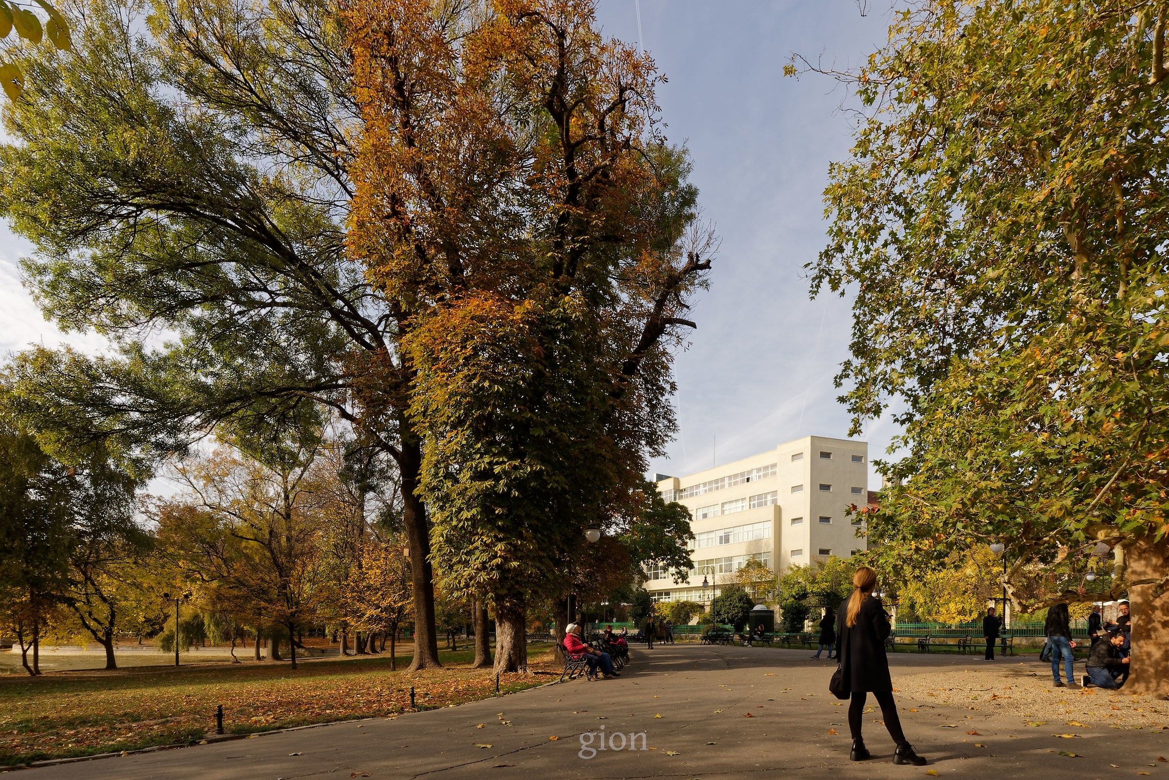 Saturday in the park