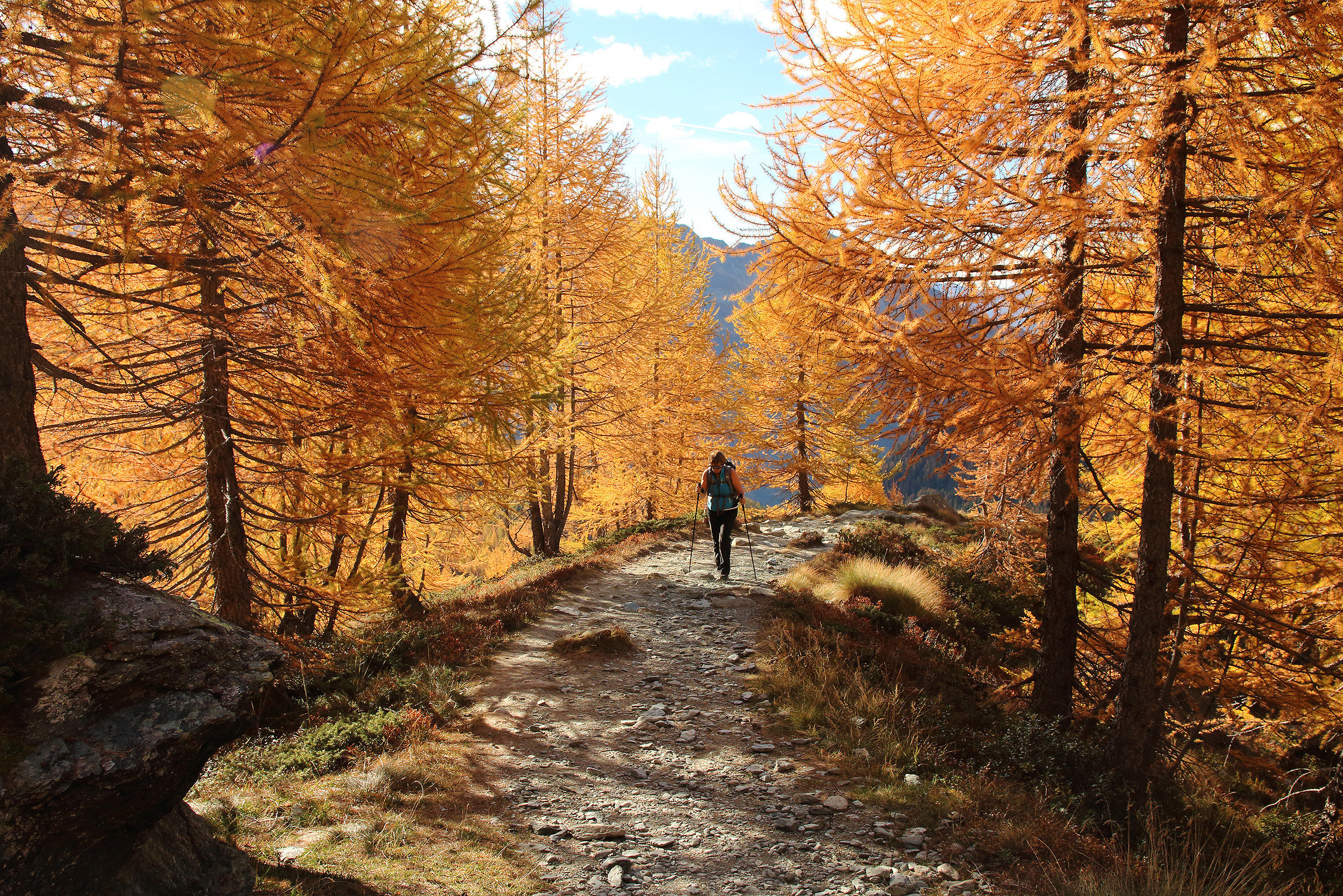 Walking in "Paradise"