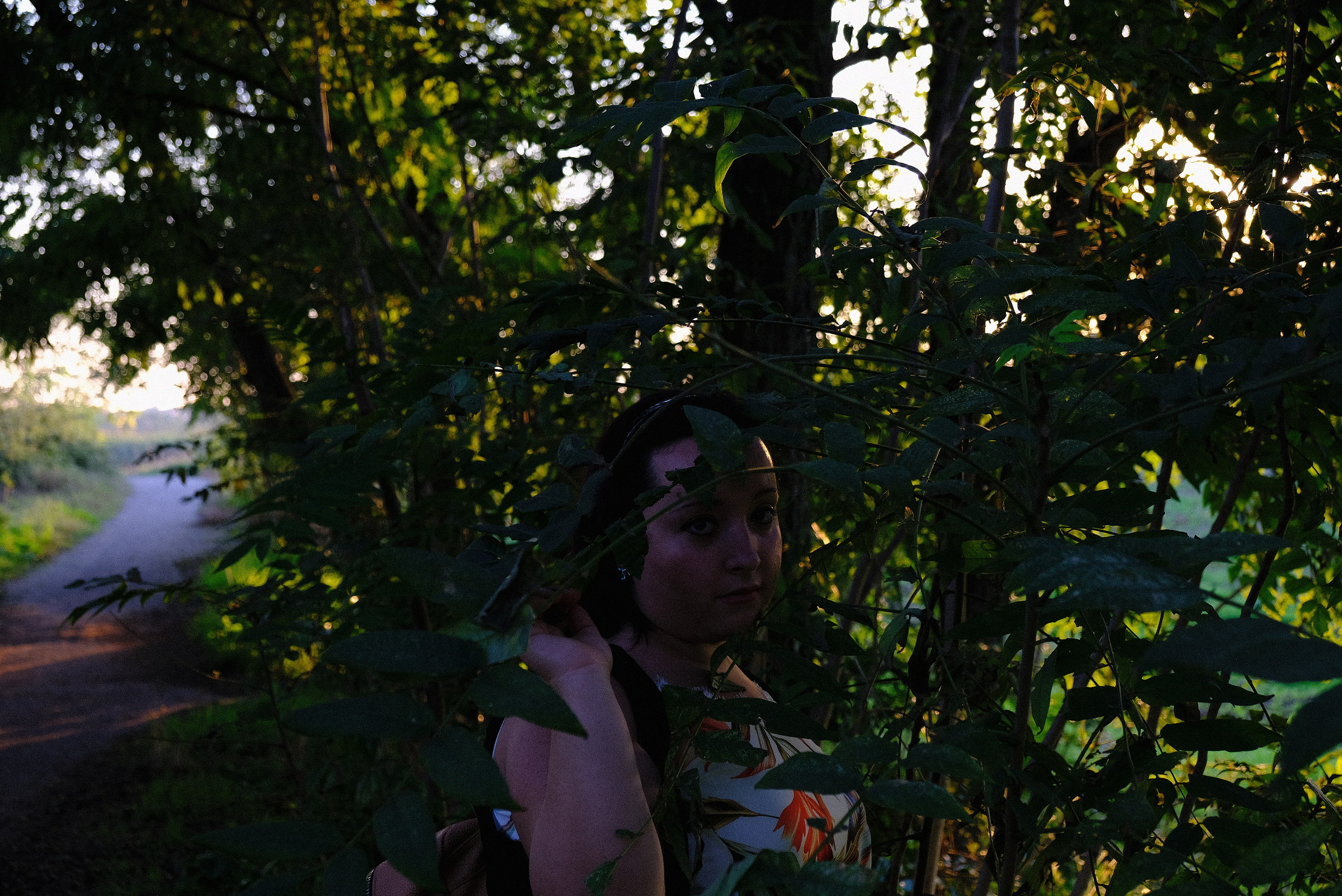 A face in the leaves