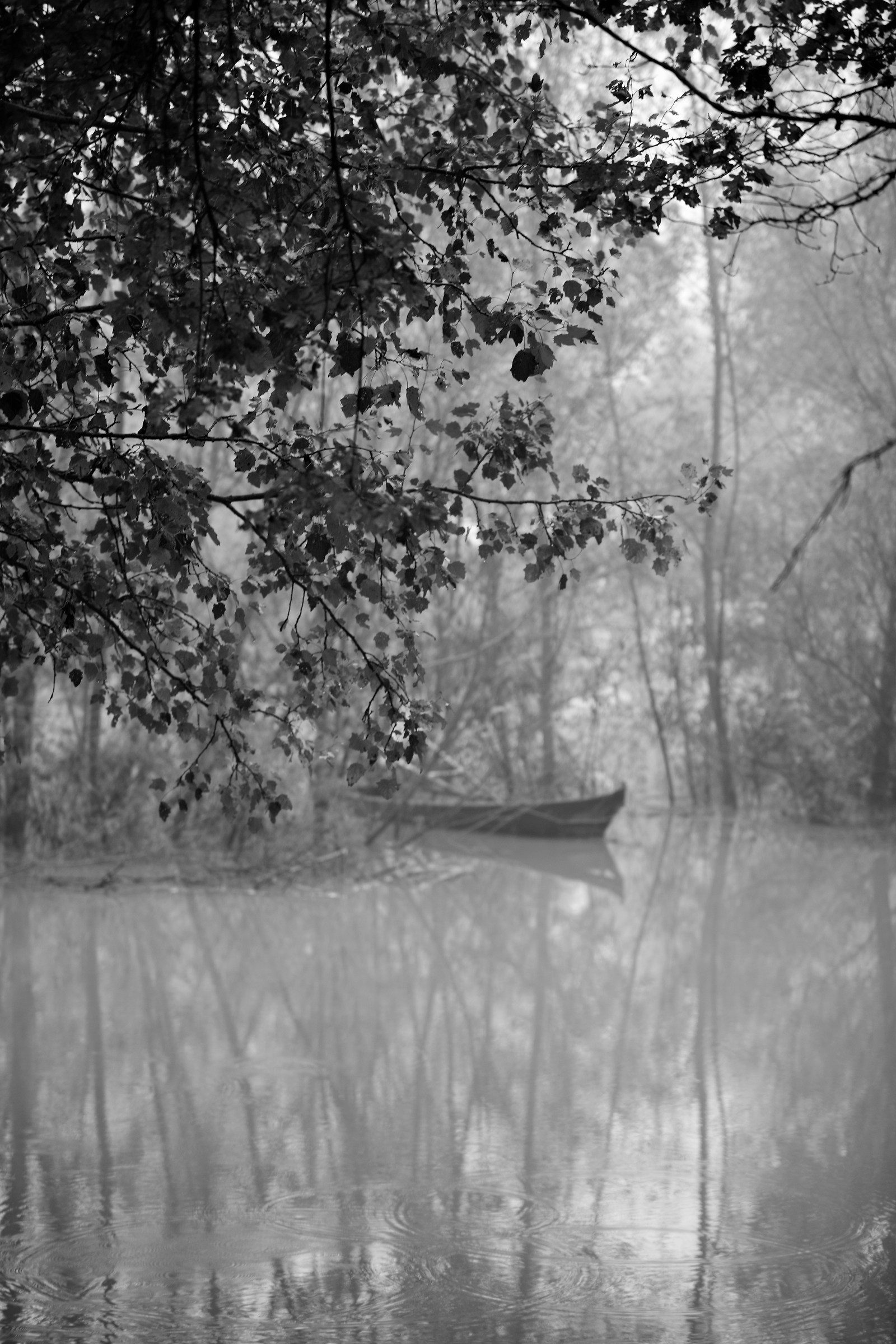 The Great River Po in full and the old fisherman