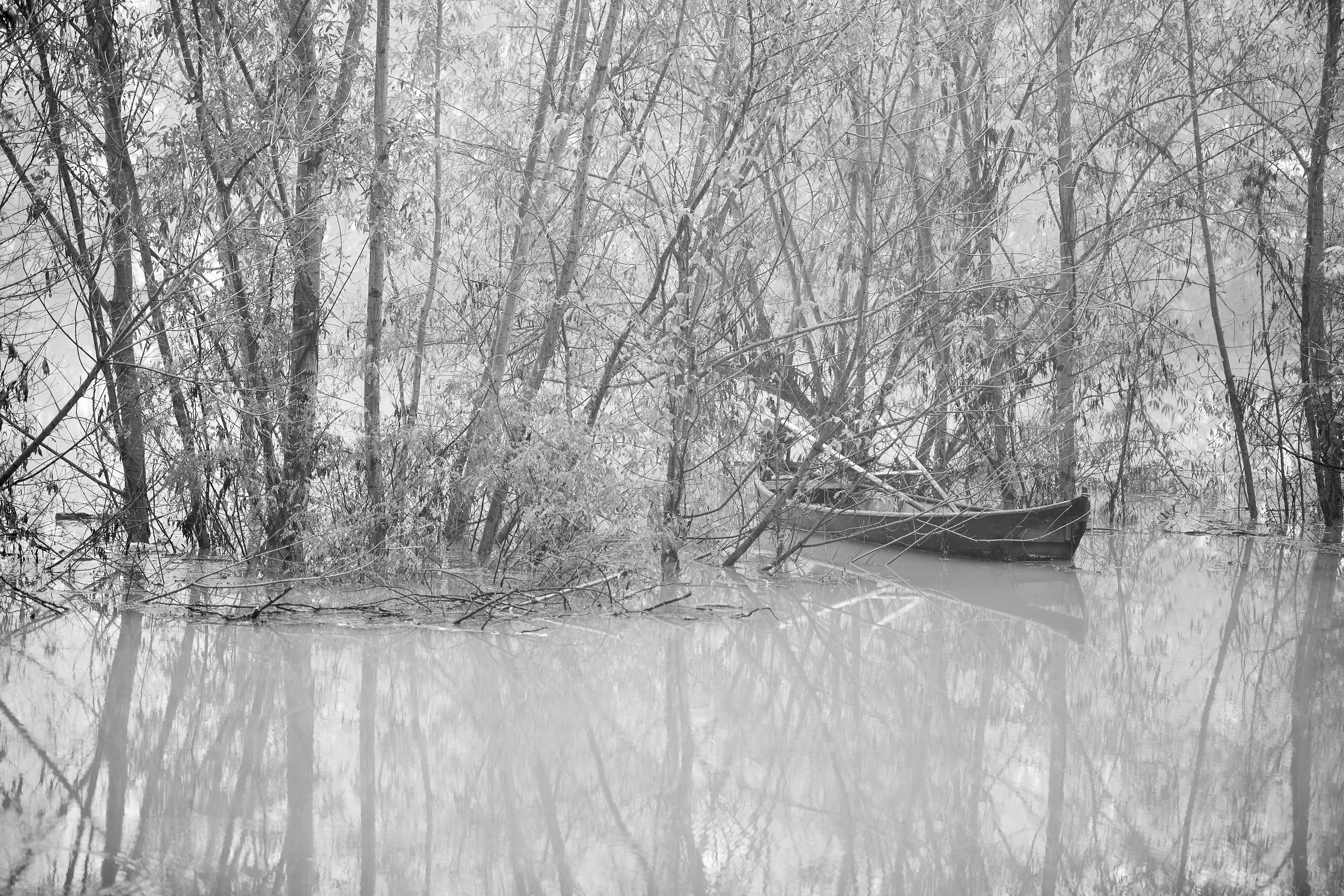 The Great River Po in full and the old fisherman