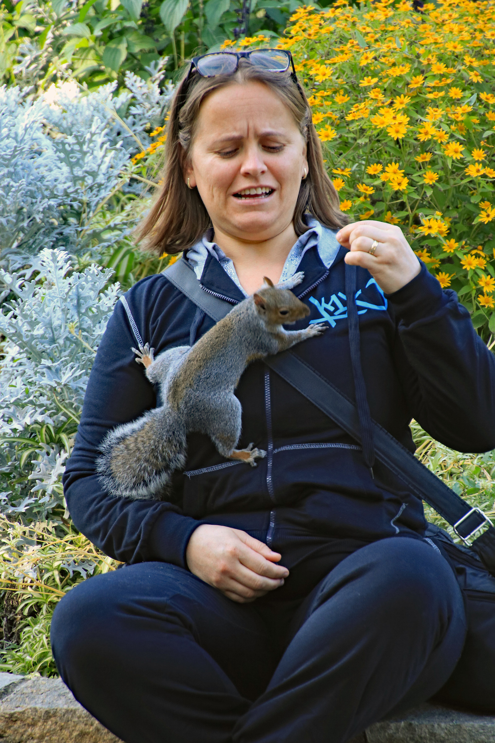 Scoiattolo impertinente (Torino, parco Valentino)