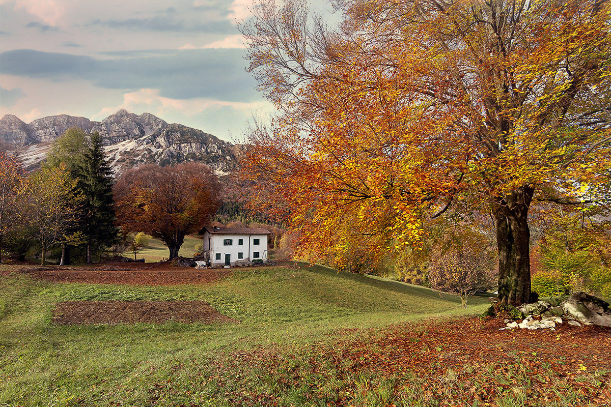 Autunno in Val Gresta